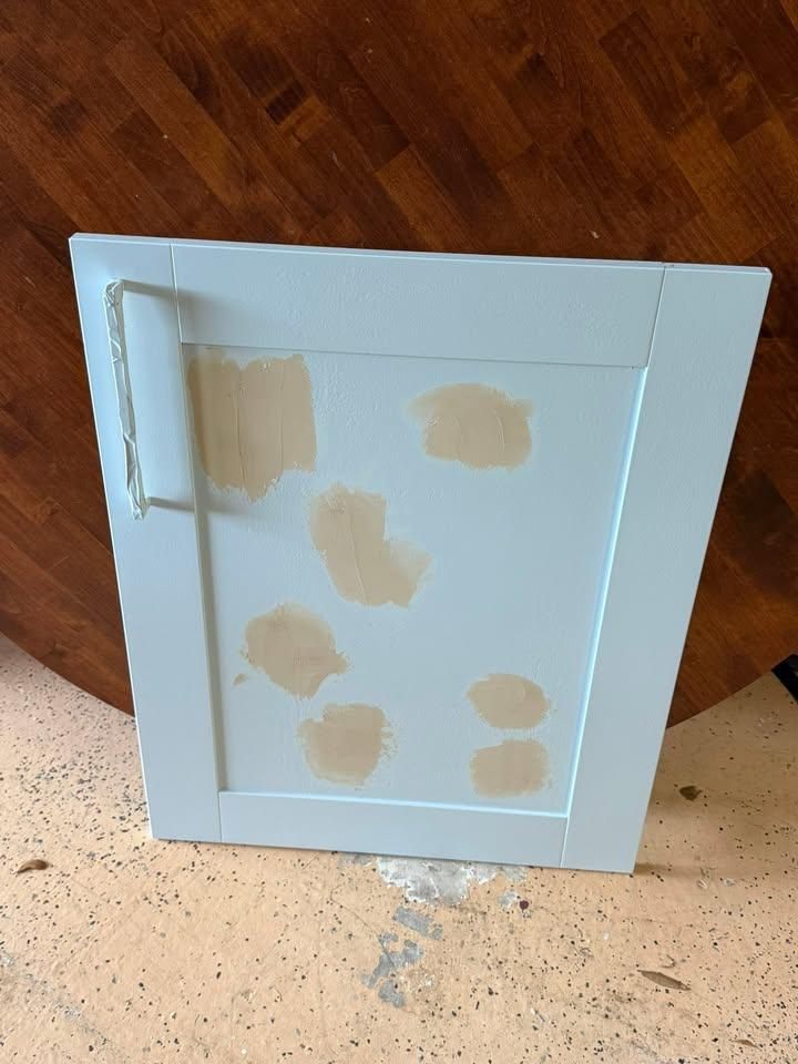  for Escorpio Painting in Tampa, FL