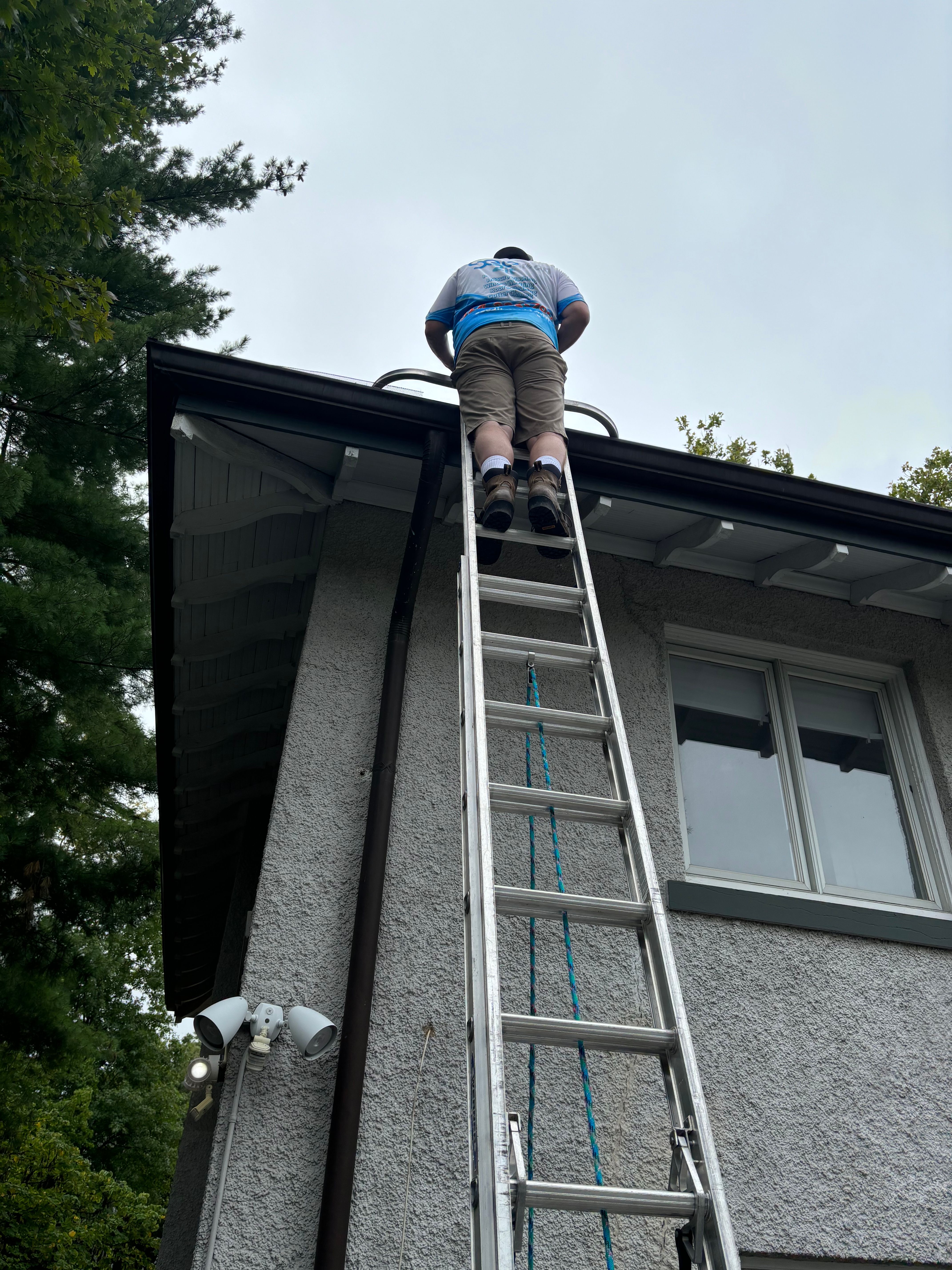  for See2it Clean in St Louis, MO