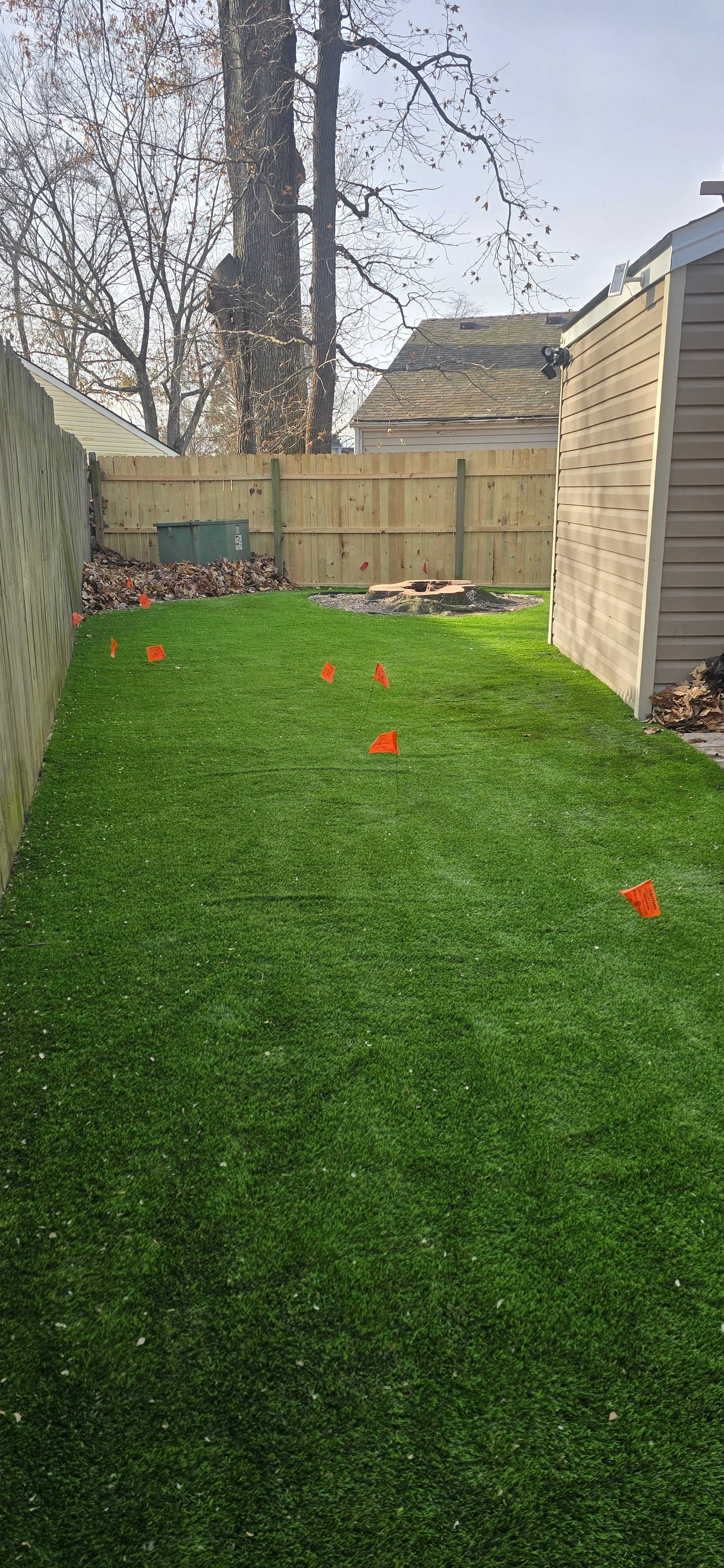  for Beach Tree Care in Virginia Beach, VA