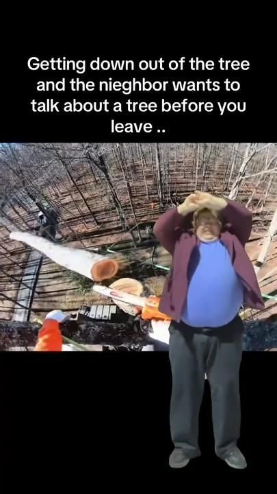  for McBee’s Tree Service in Sewanee, TN