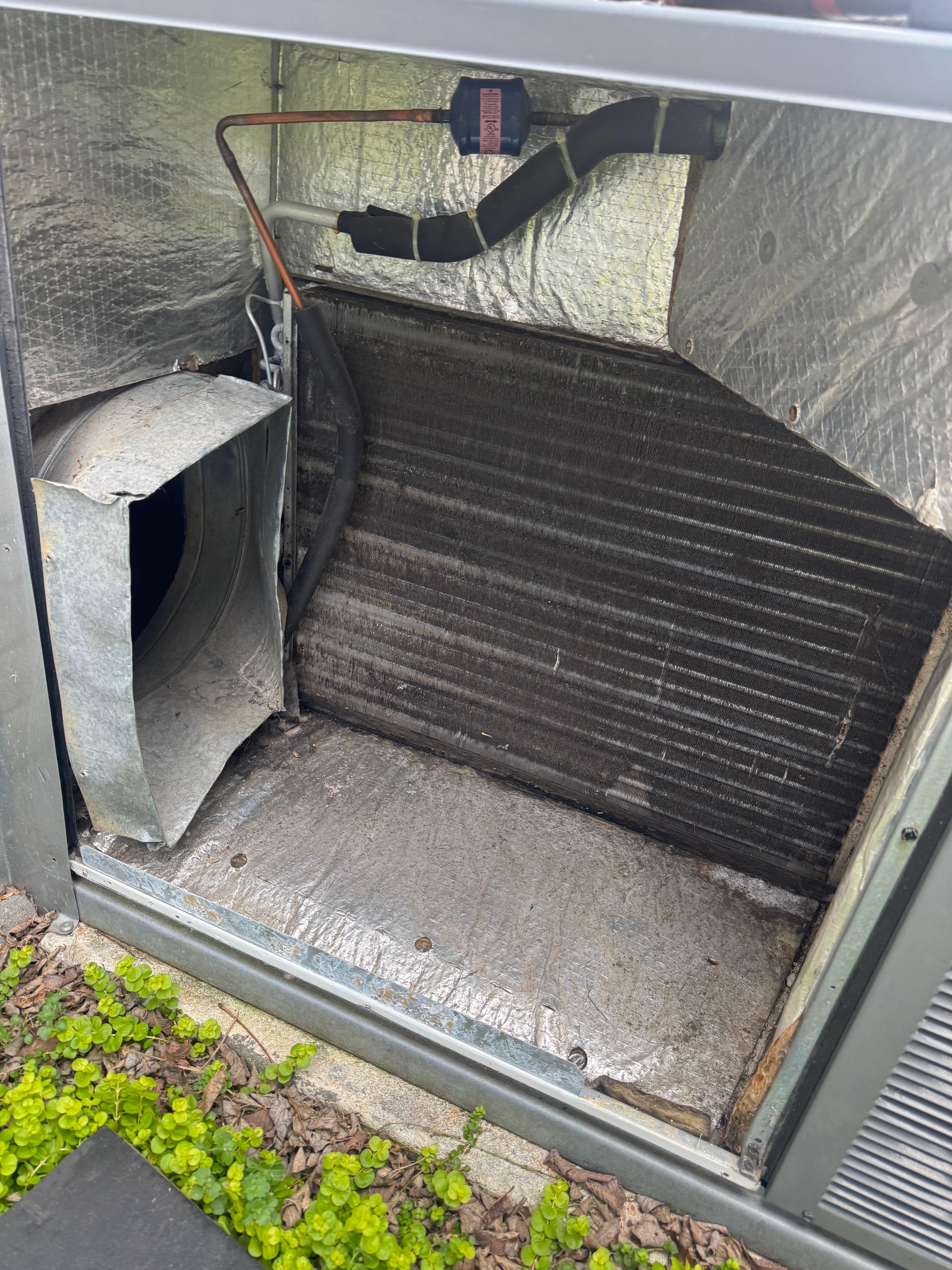  for College Grove Service Company in College Grove, TN