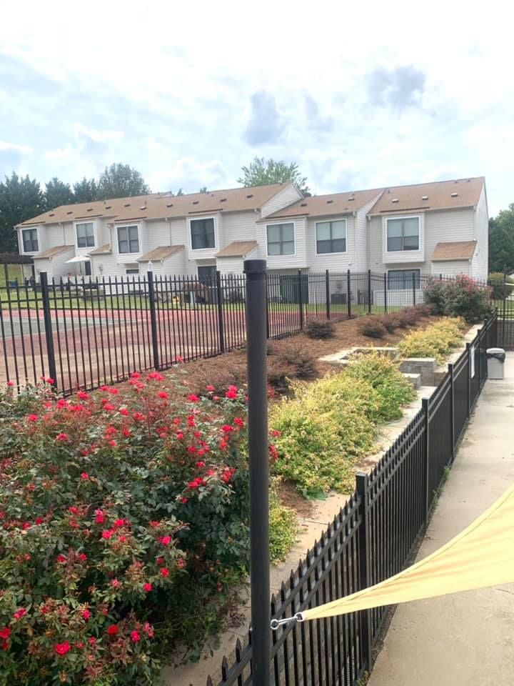 for Pecina Pine Needles in Monroe, NC