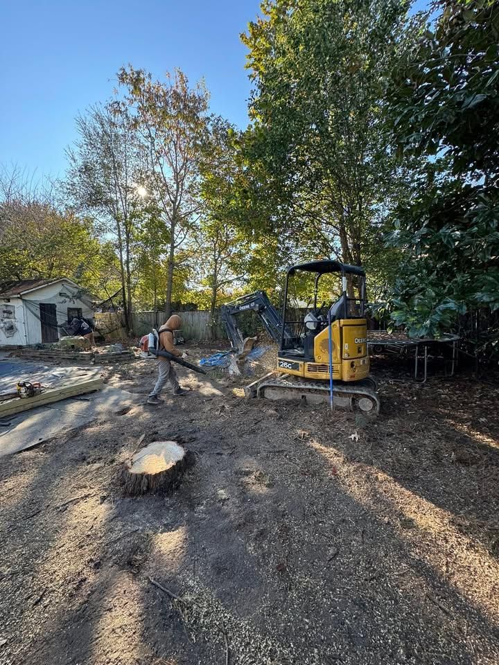 All Photos for Cowboys TREE Company in Chesapeake, VA