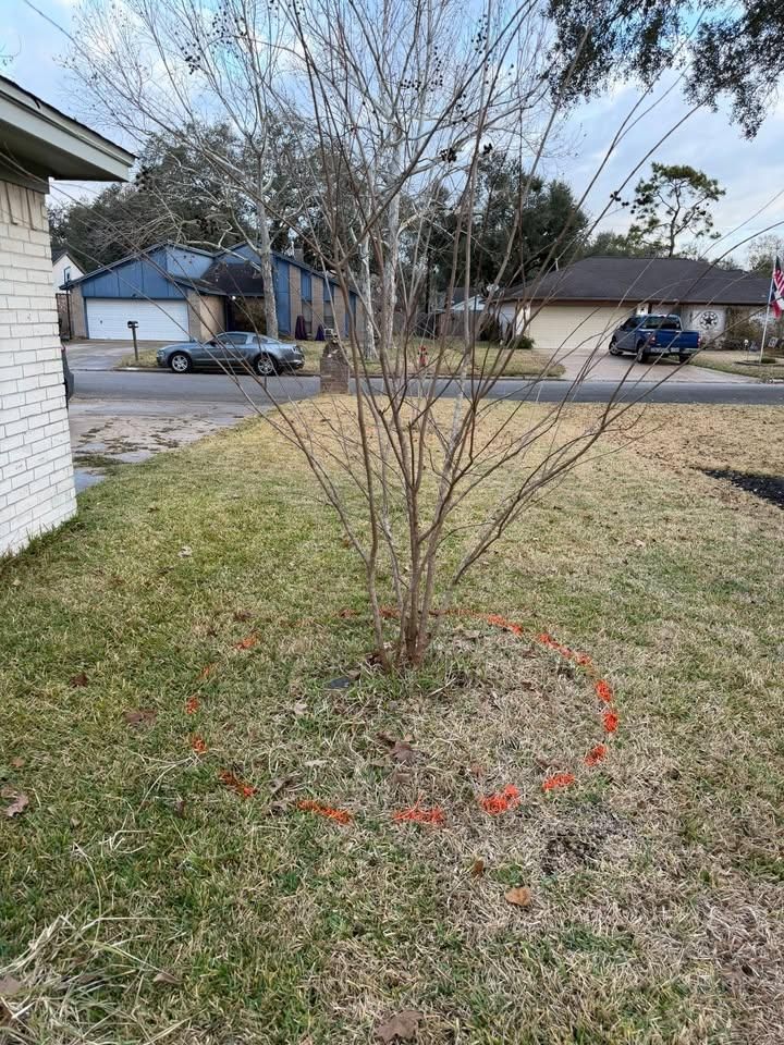  for Texas Curb N Borders in Houston, TX