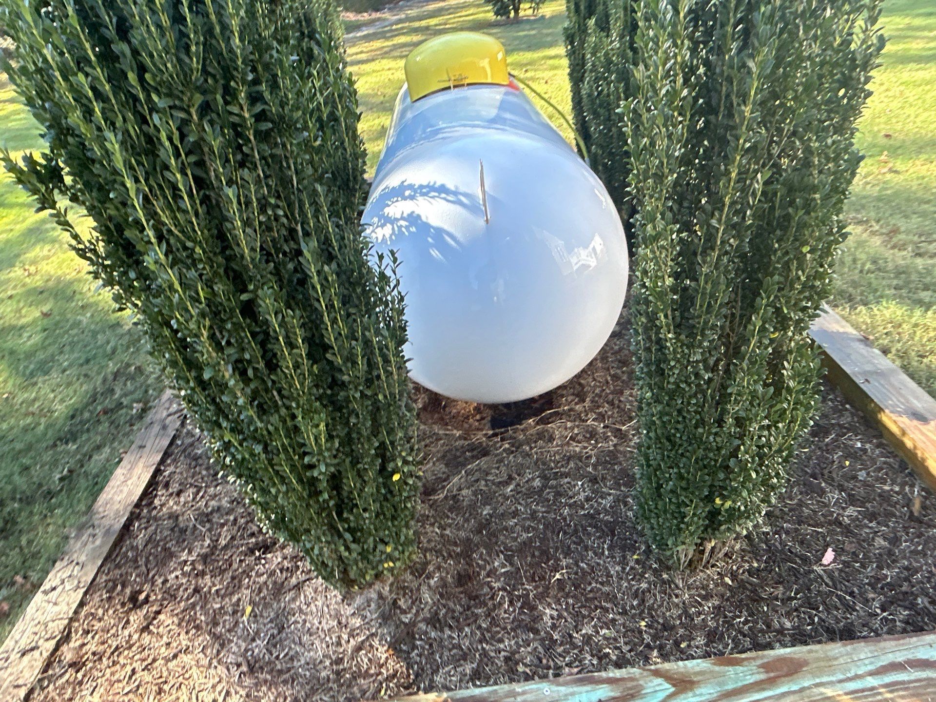  for Prime Time Pressure Washing & Roof Cleaning in Moyock, NC