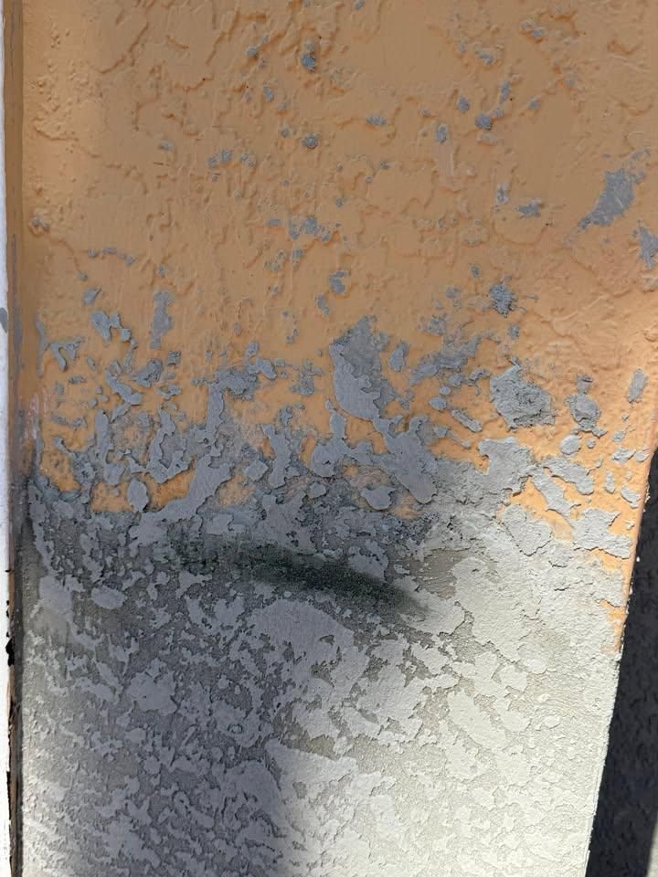  for Escorpio Painting in Tampa, FL