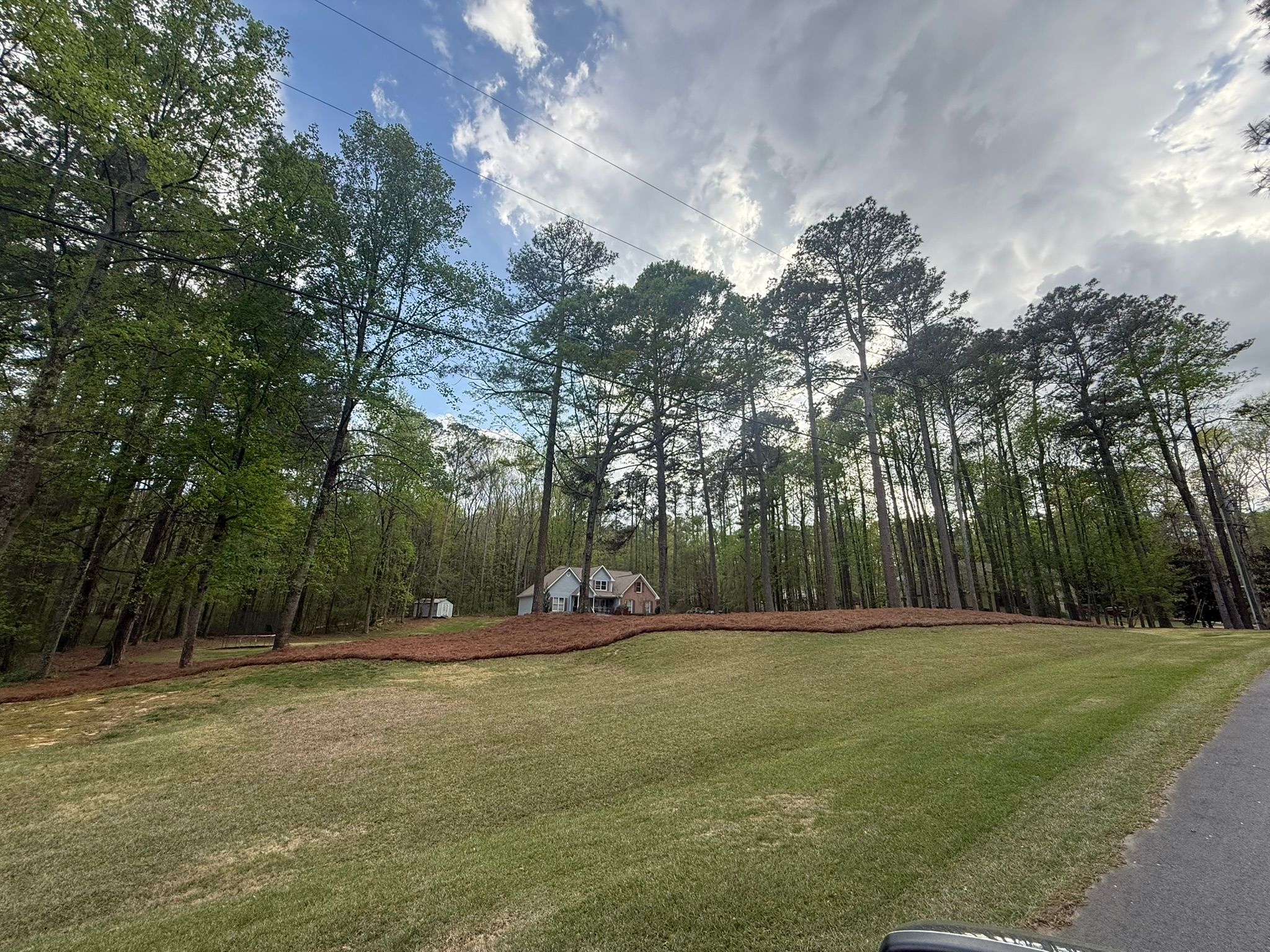 All Photos for Tri-P Services in Athens, GA
