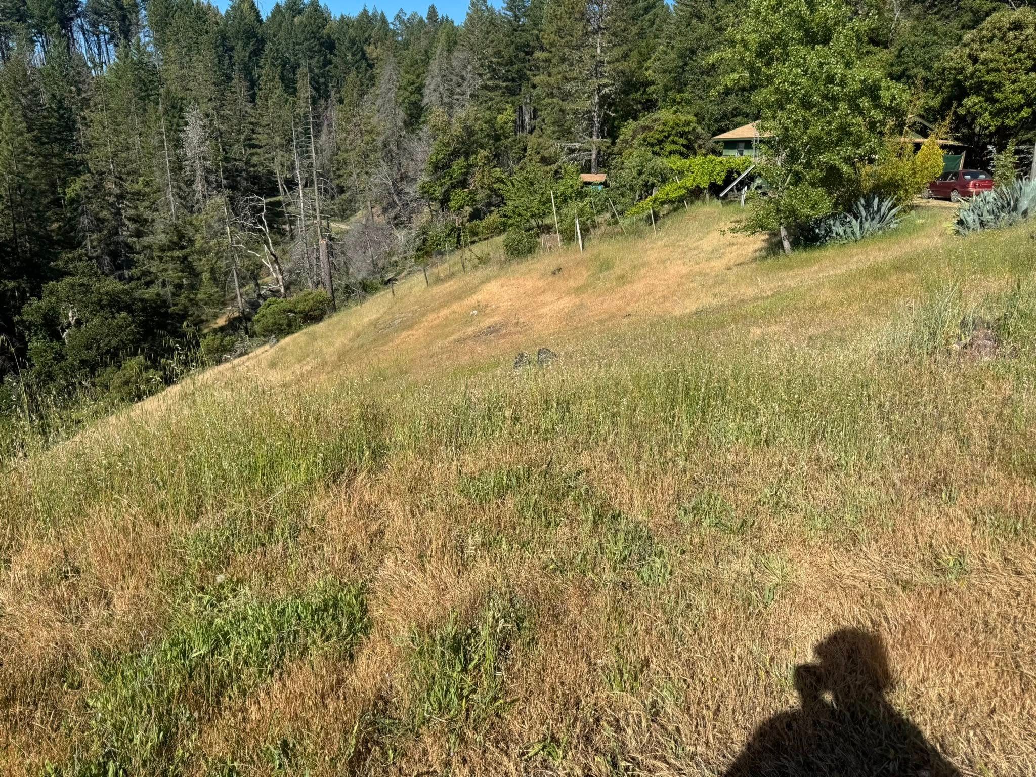 Fire Prevention for Stanisloo’s Landscaping and Services in Potter Valley, CA