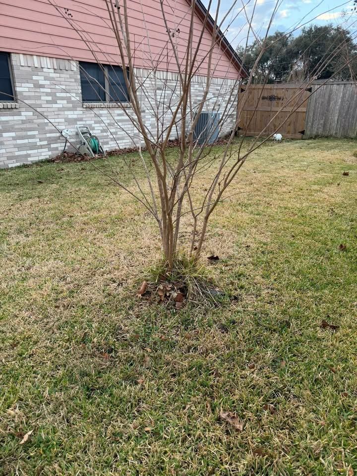  for Texas Curb N Borders in Houston, TX