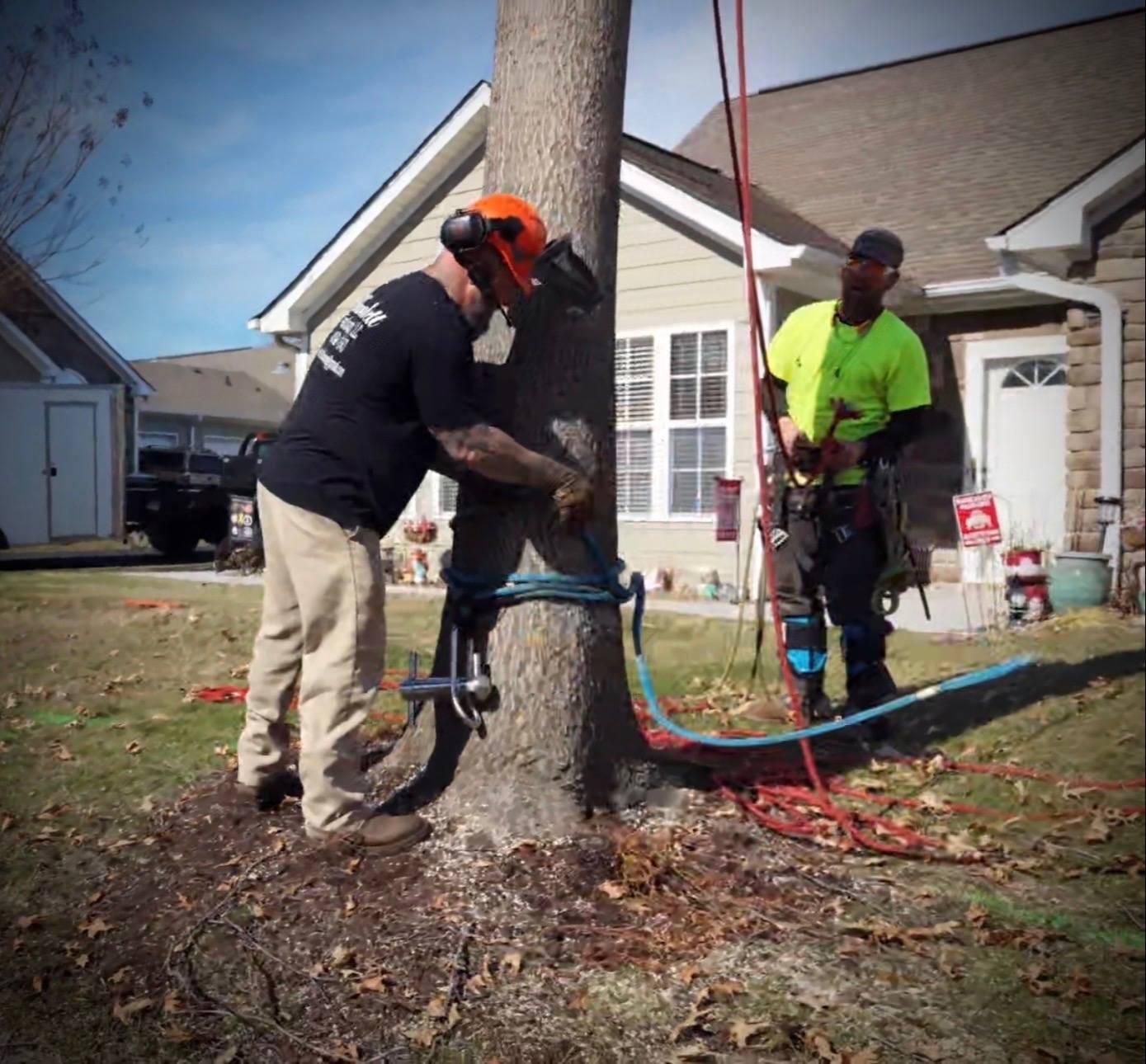  for Hamlett Tree Service LLC in Clover, VA