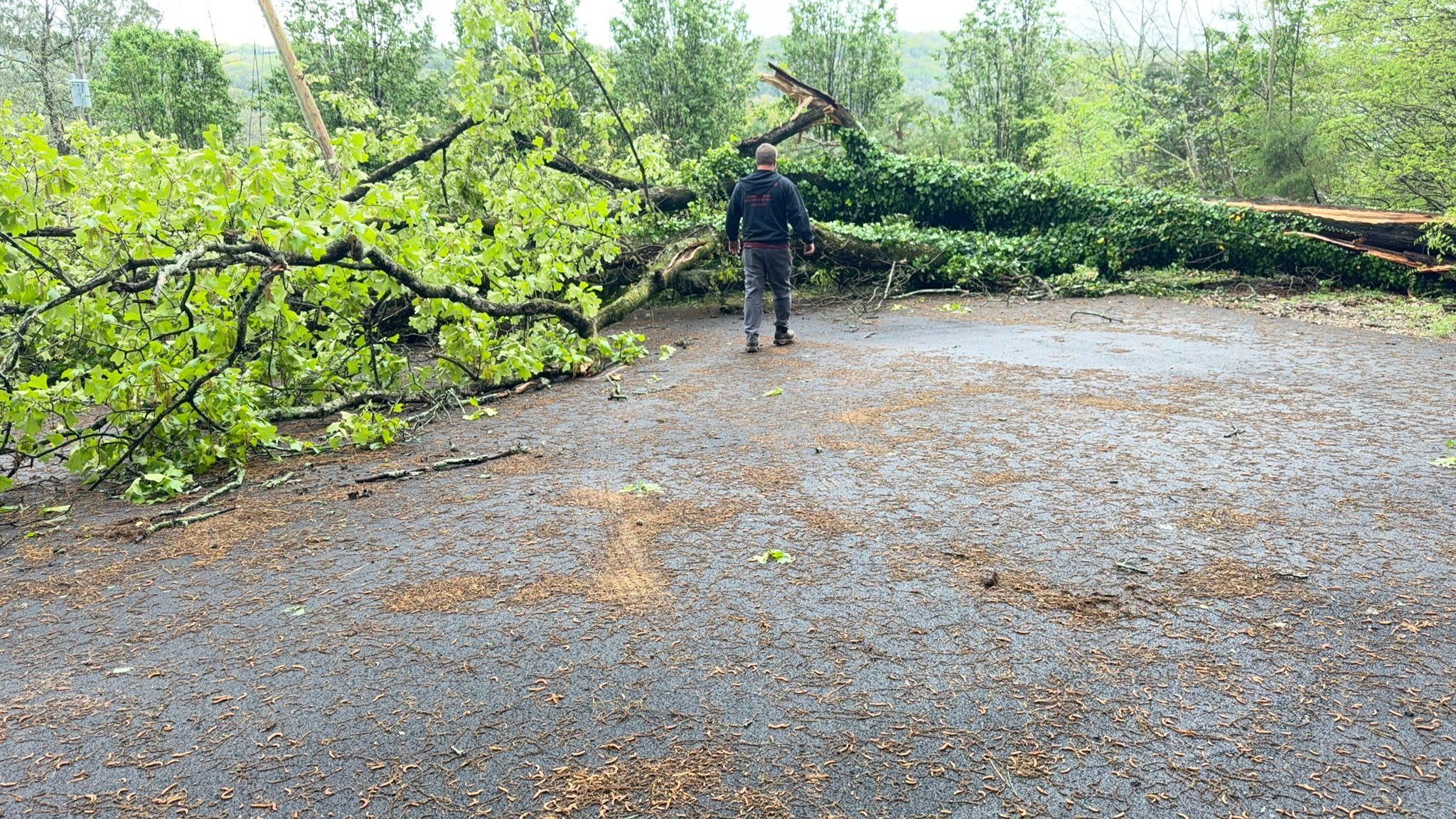  for Chipper's Tree Service  in Fort Payne, AL