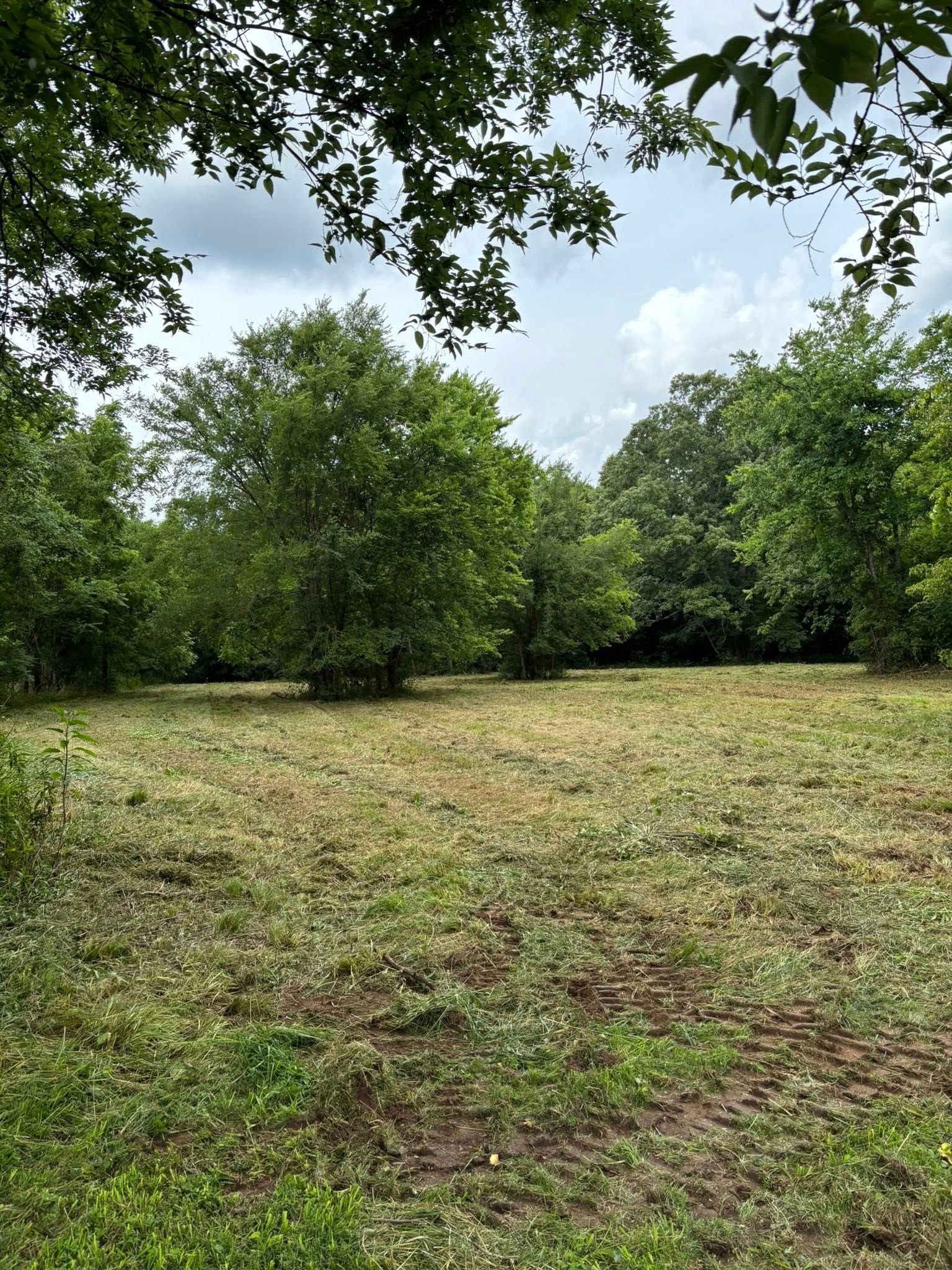  for JC Land Clearing in Shelbyville, TN