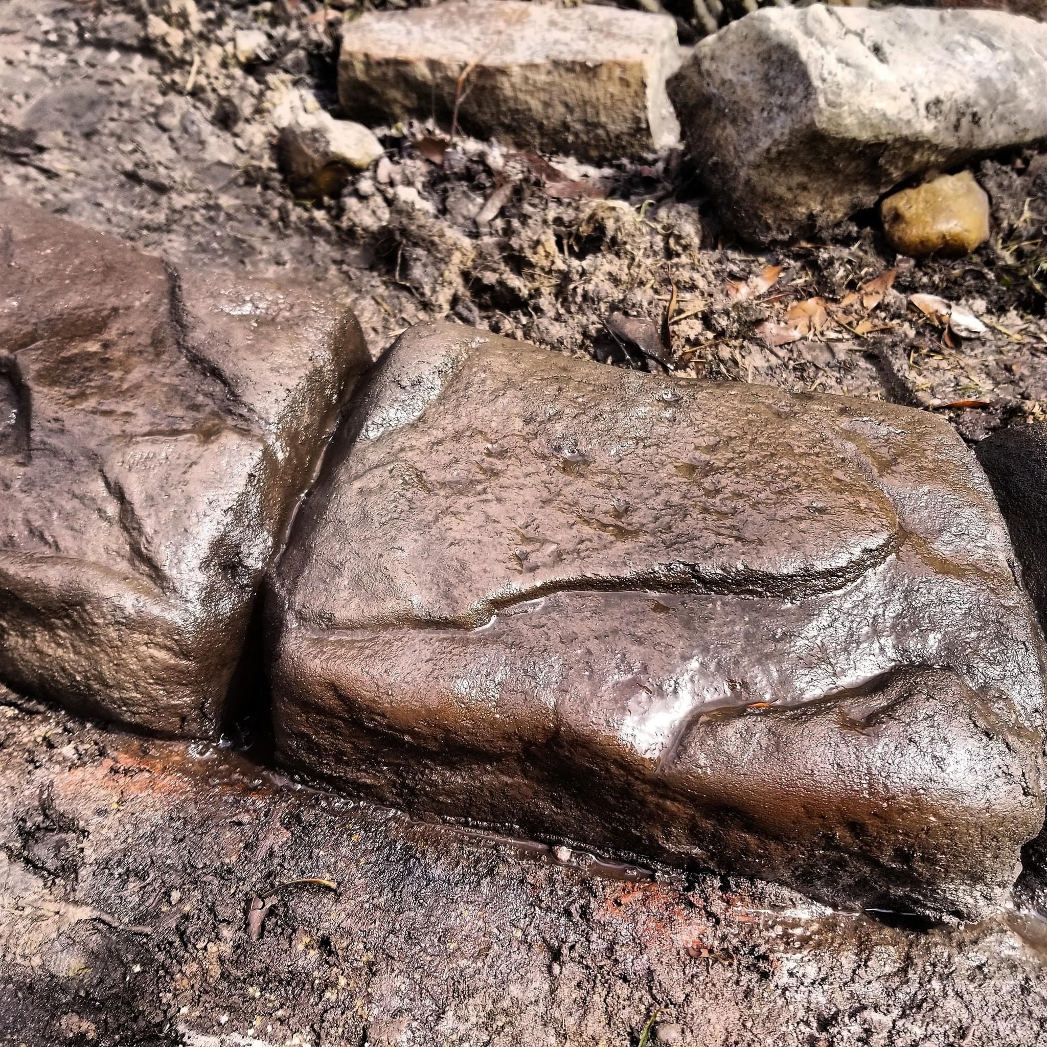  for Texas Curb N Borders in Houston, TX