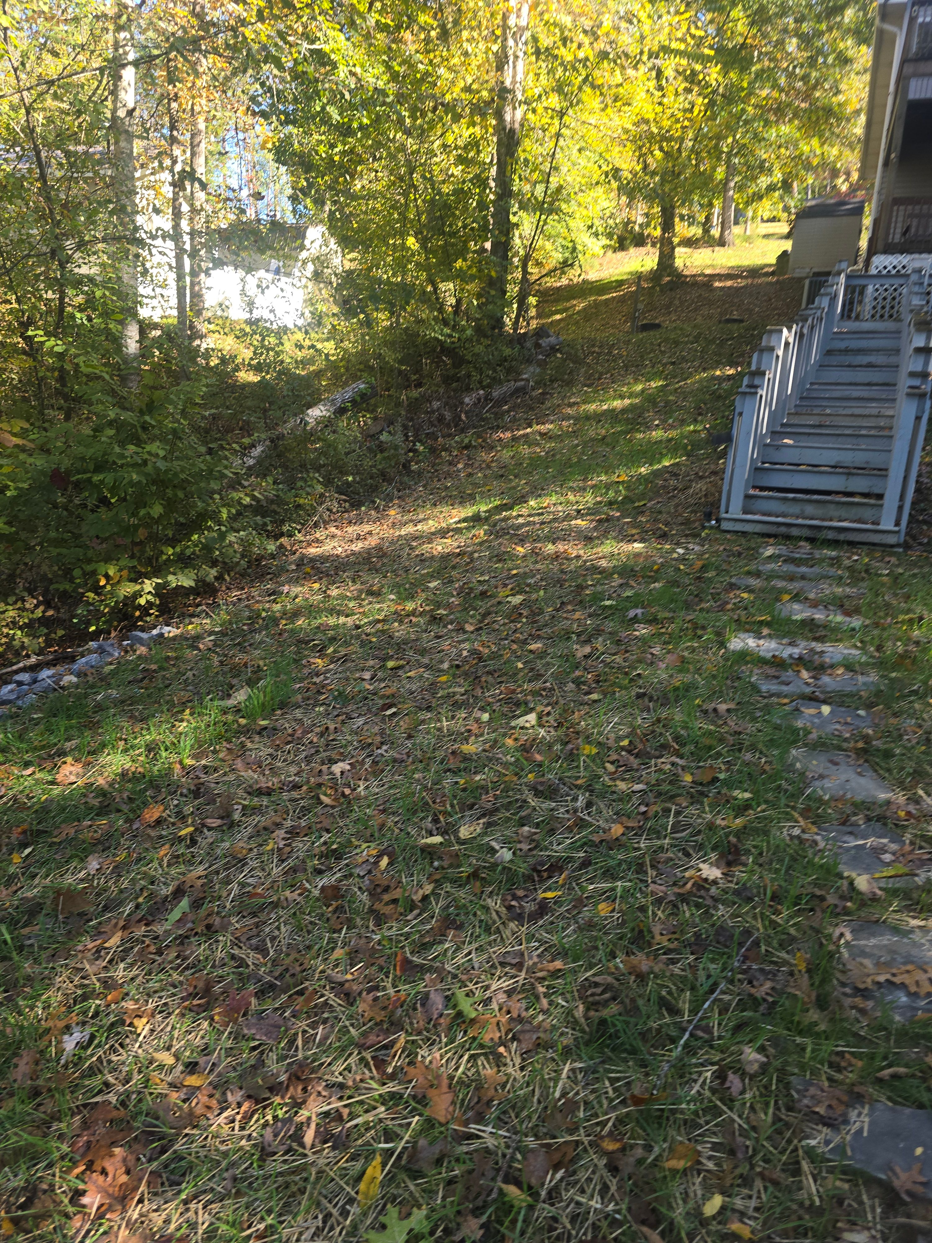  for Williams Lawn and Land in Sharps Chapel, TN