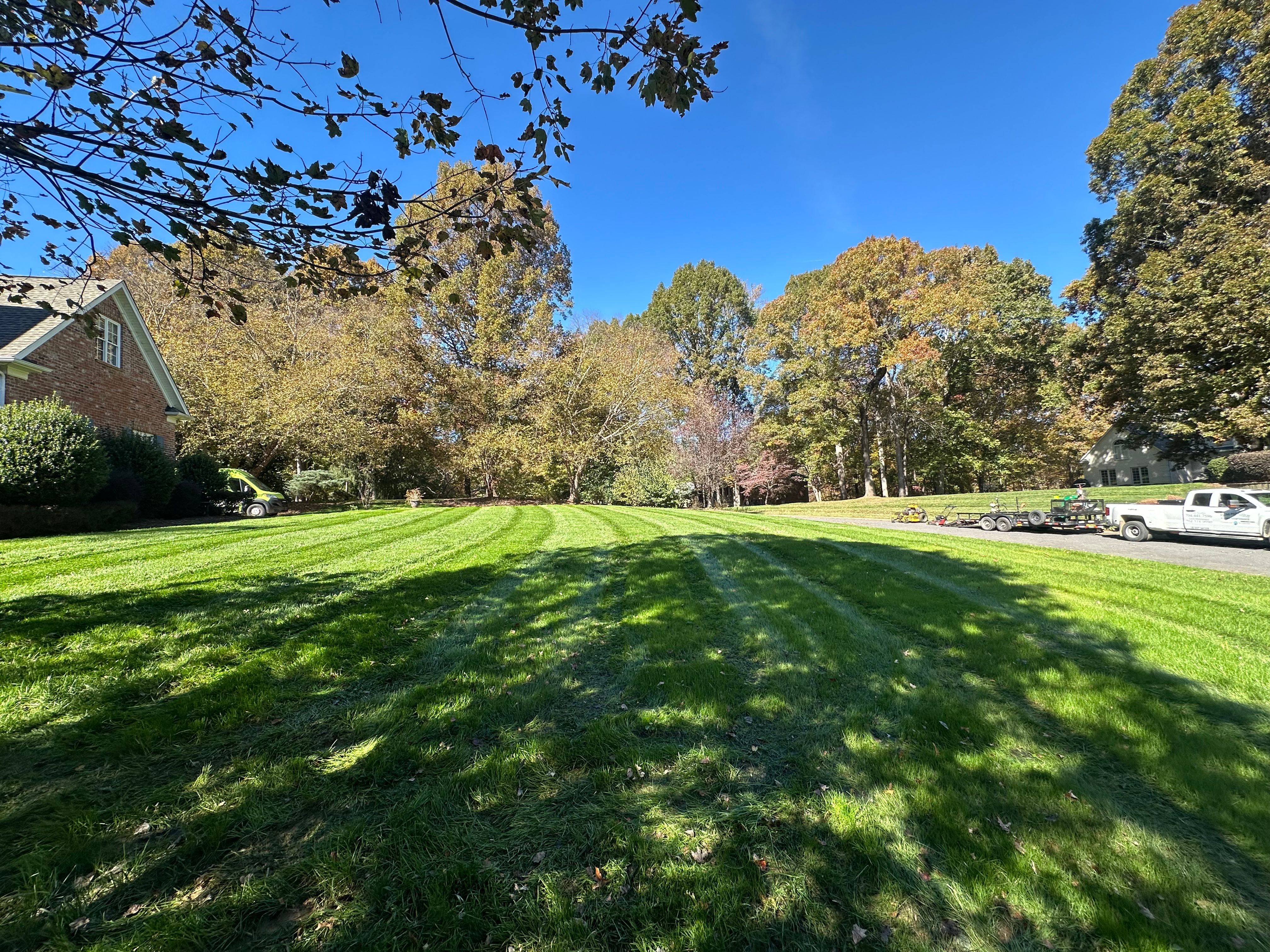  for Pecina Pine Needles in Monroe, NC