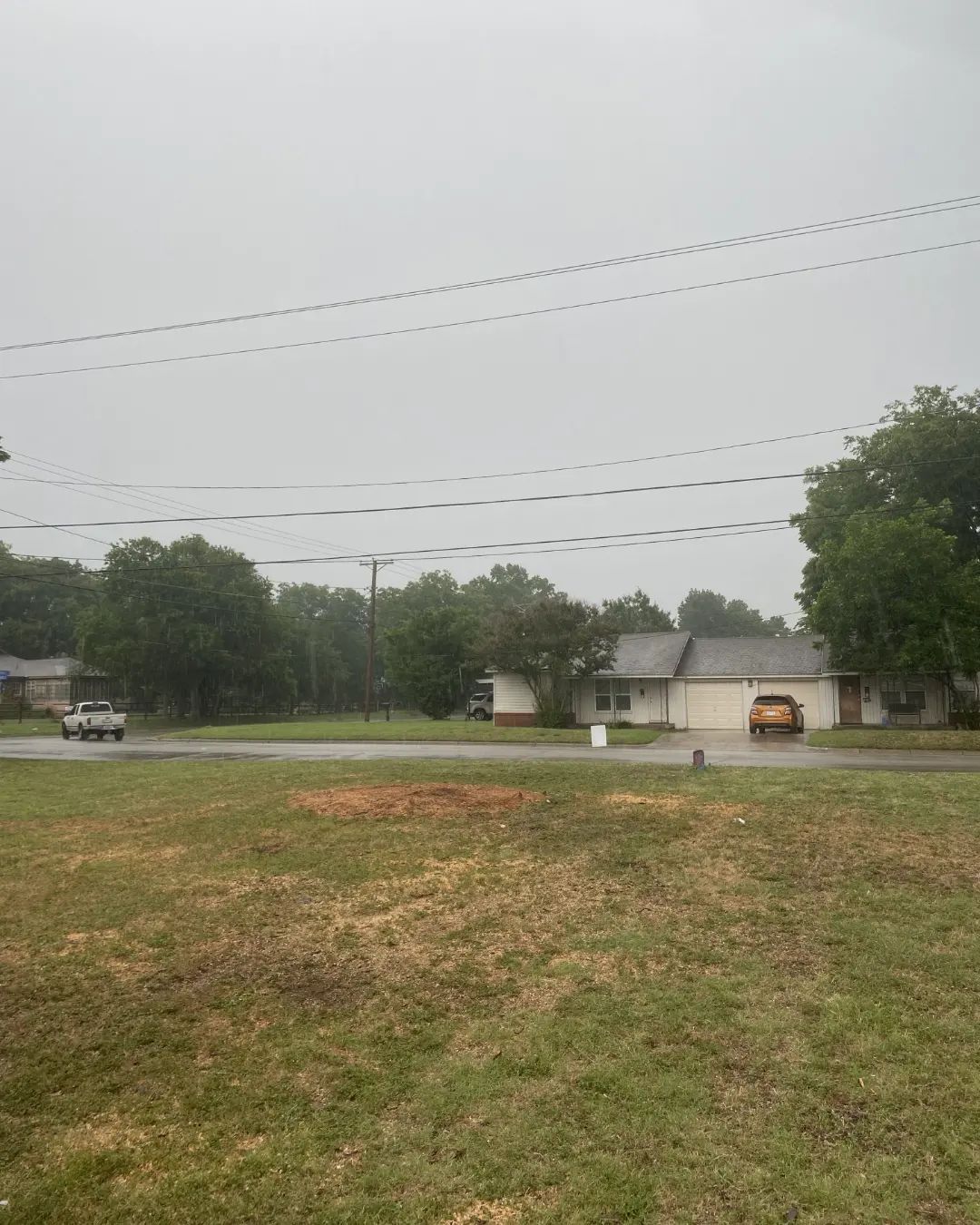  for Muniz Tree Service in North Richland Hills, TX