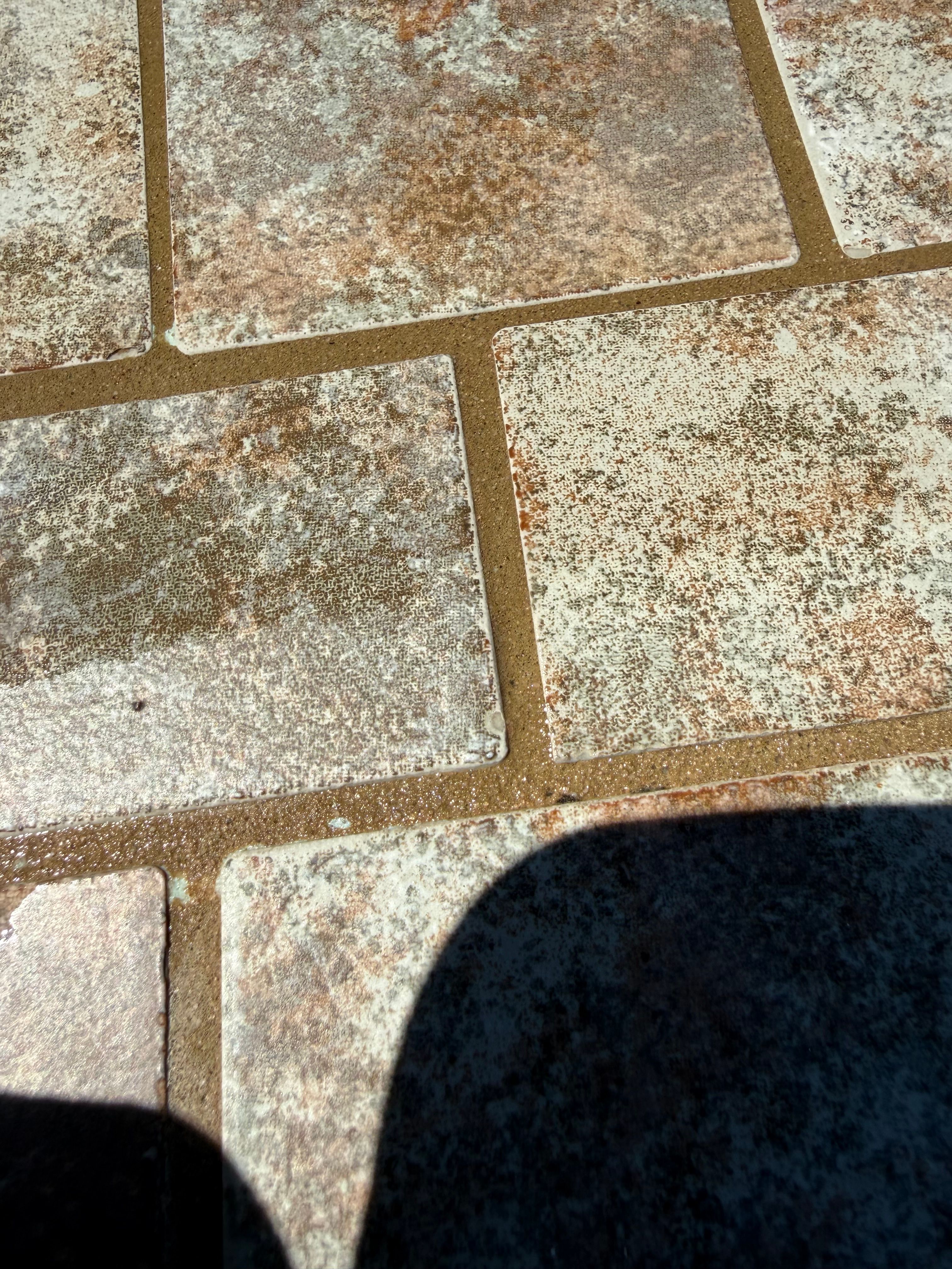  for Arizona Backyard Synergy in Phoenix, AZ