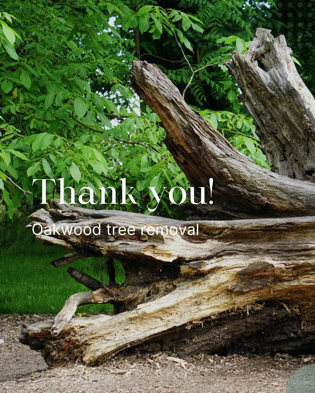 for Oakwood Tree Removal LLC in Oak Creek,  WI