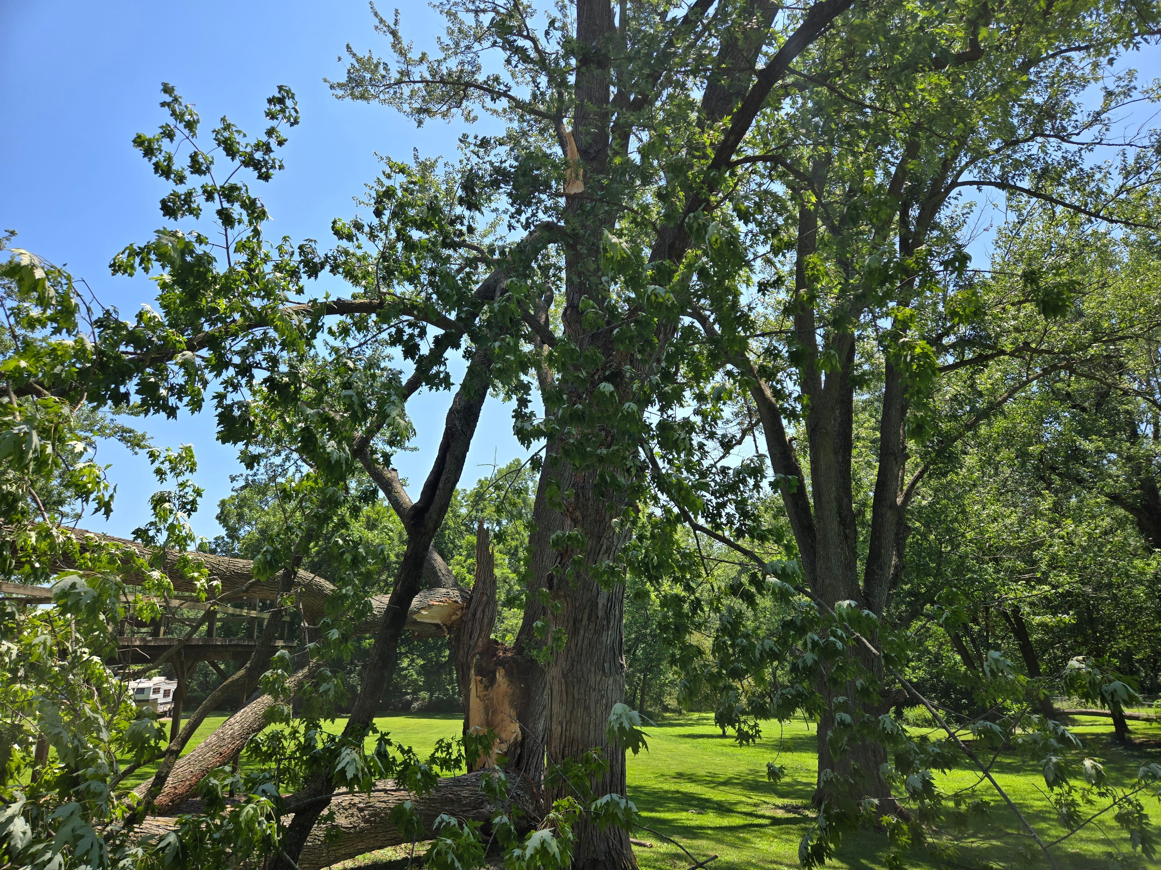  for Lawn Ranger Yard And Tree Service LLC in Ottumwa, IA