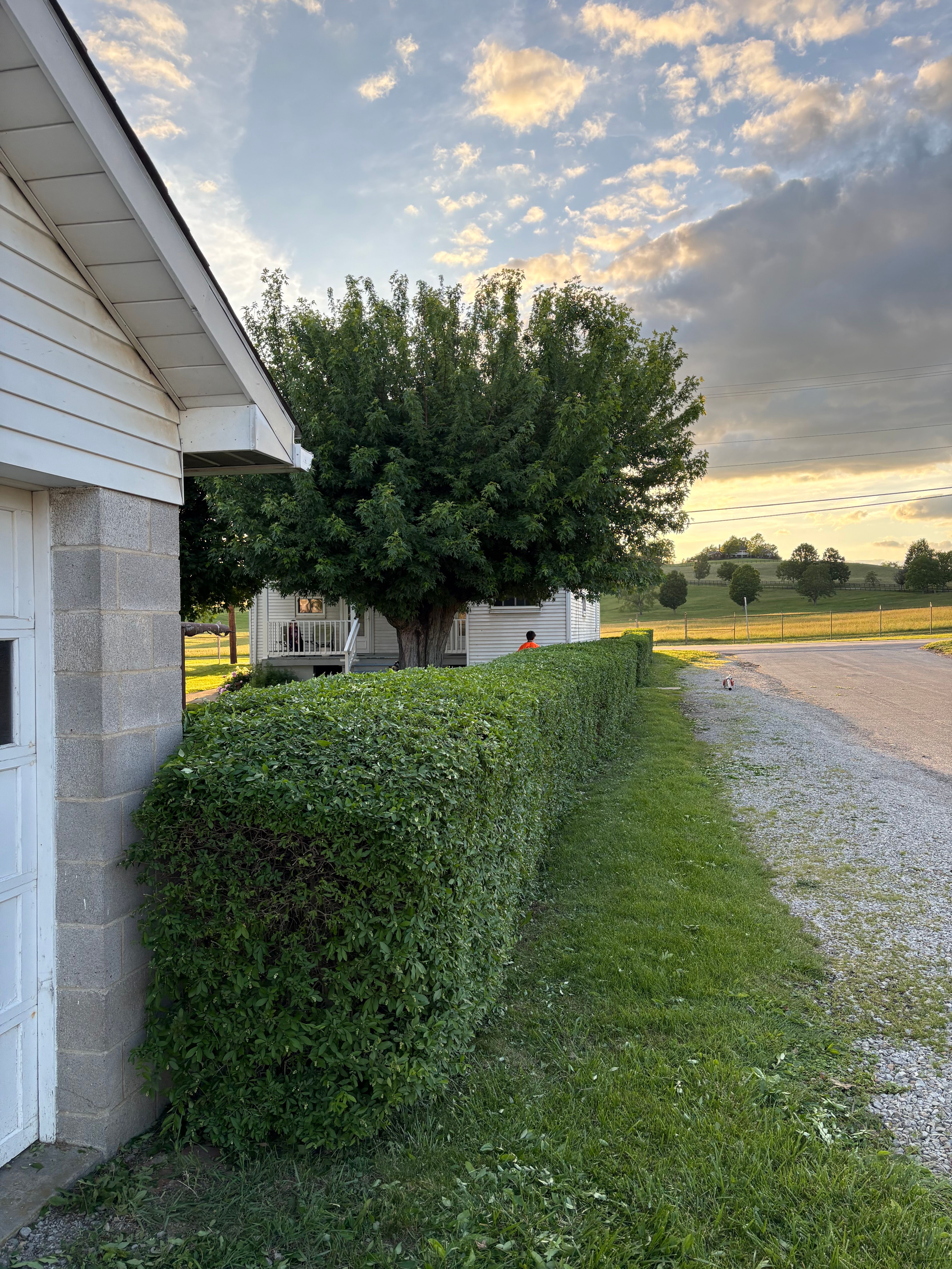  for Cam Yardz in Washington, PA