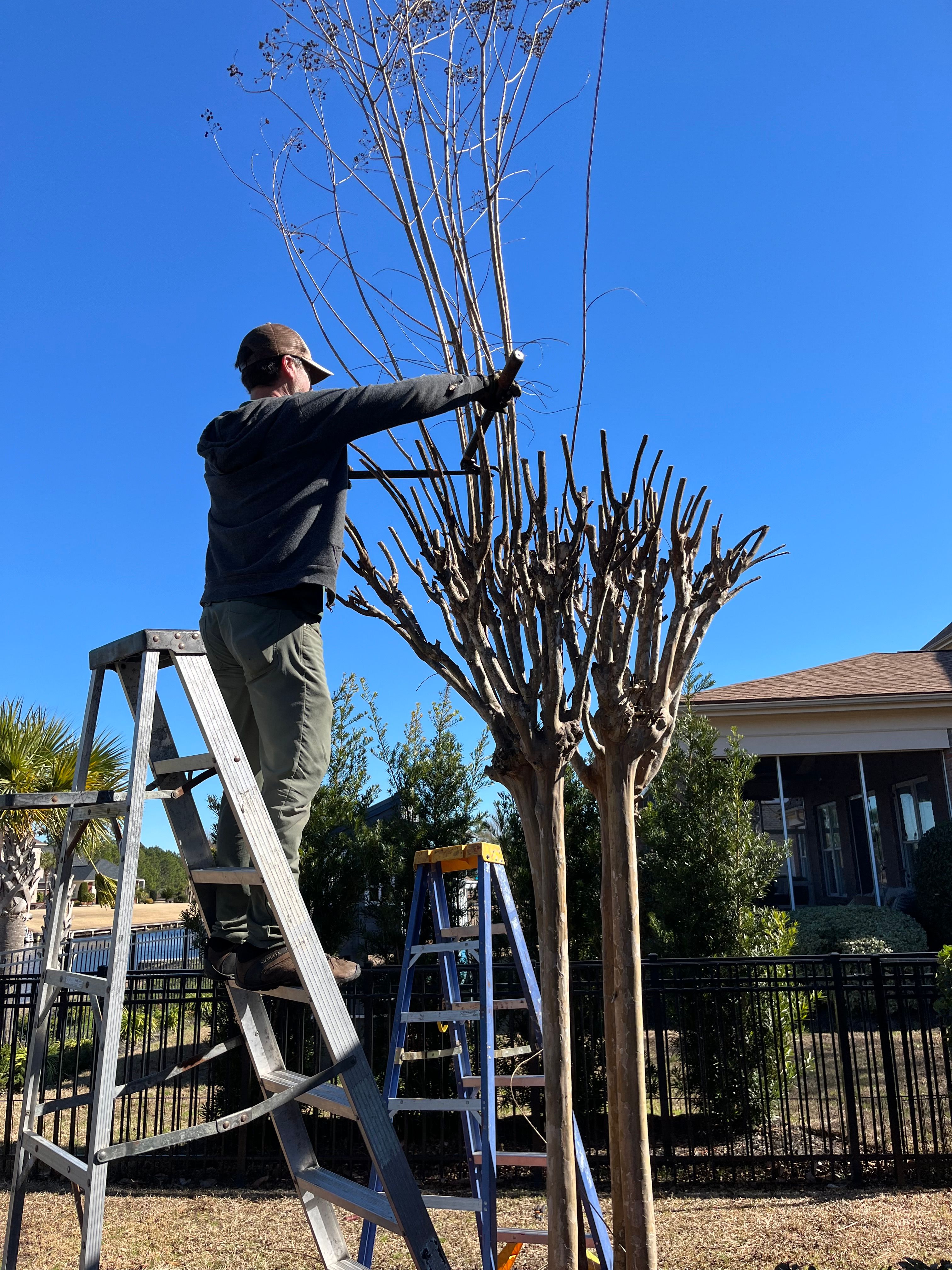  for New Creation Landscaping in Myrtle Beach, SC