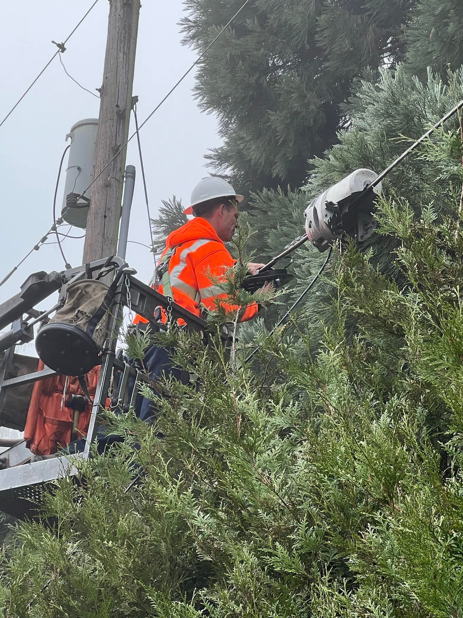  for Hammons Construction LLC in Eugene, OR