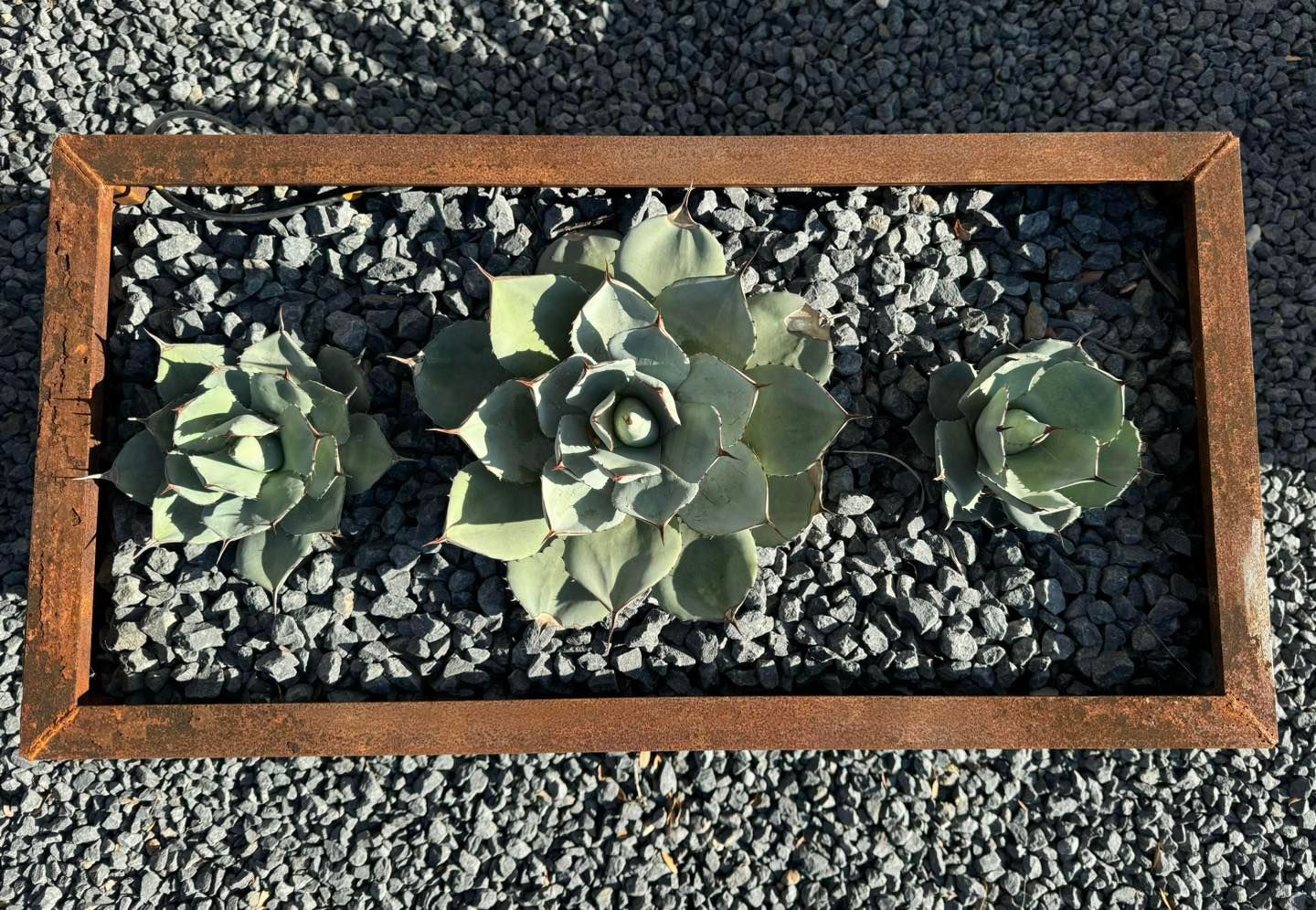  for N. B. Fence & Landscape in New Braunfels, TX