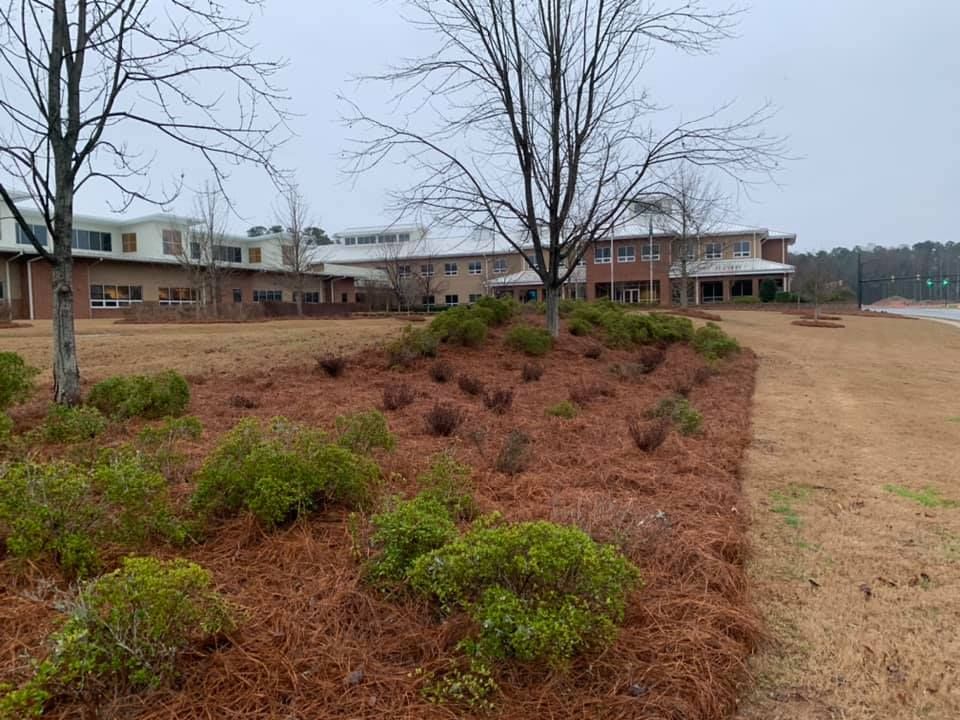  for Pecina Pine Needles in Monroe, NC