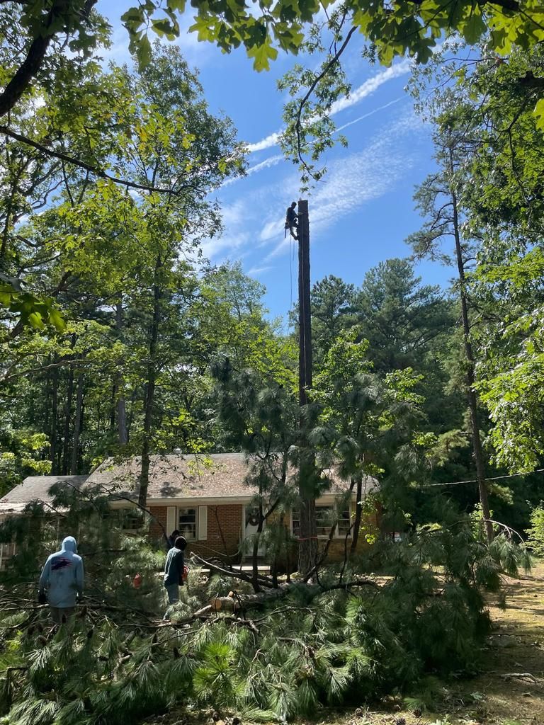 Tree Removal for Rosales Landscaping LLC in Lake Gaston, North Carolina