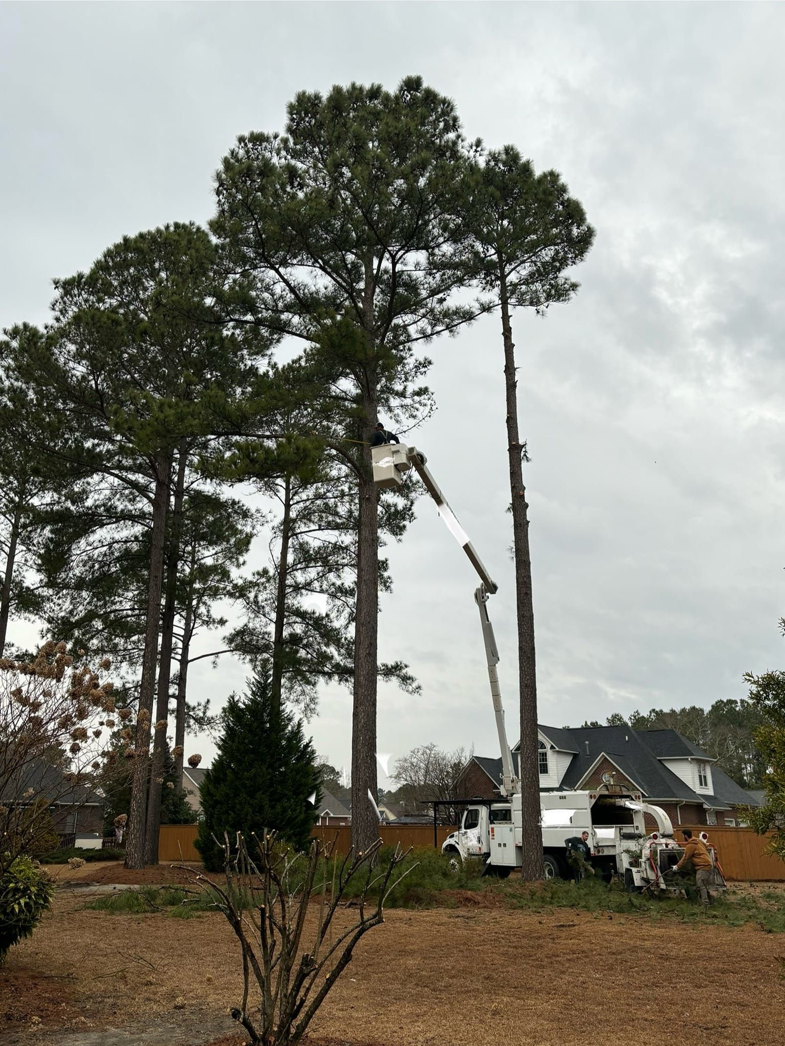 for Barbers Outdoor Services in Grays Creek, NC