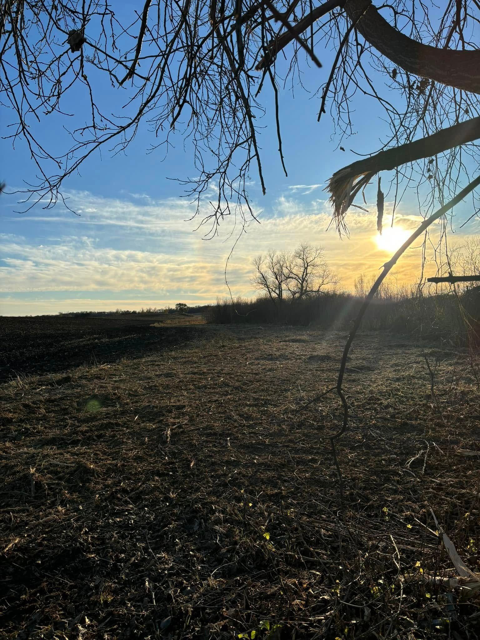  for Root Land Management in Watkins, MN