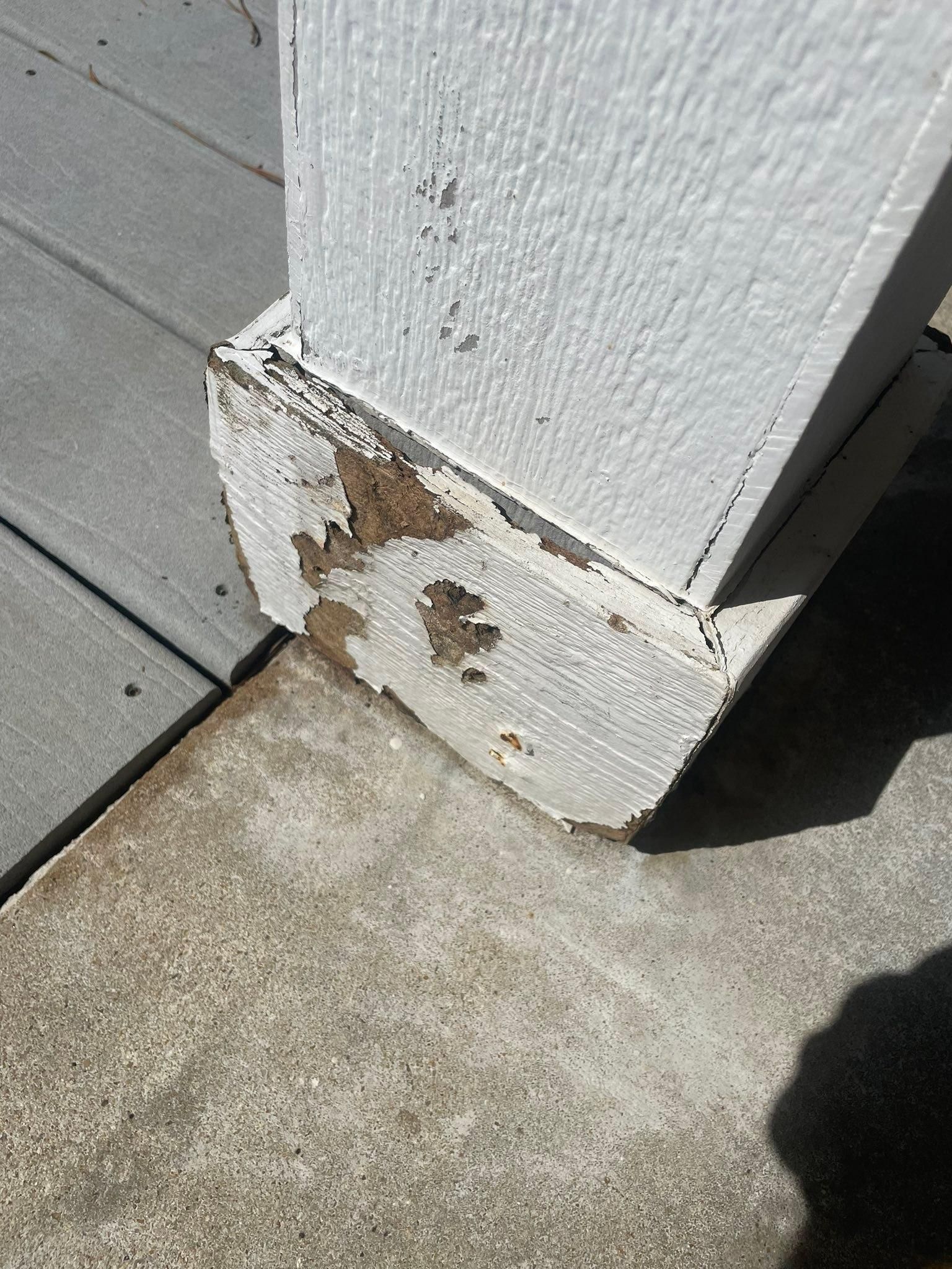  for Ferrell’s Professional Painting & Home Services LLC in Panama City Beach, FL
