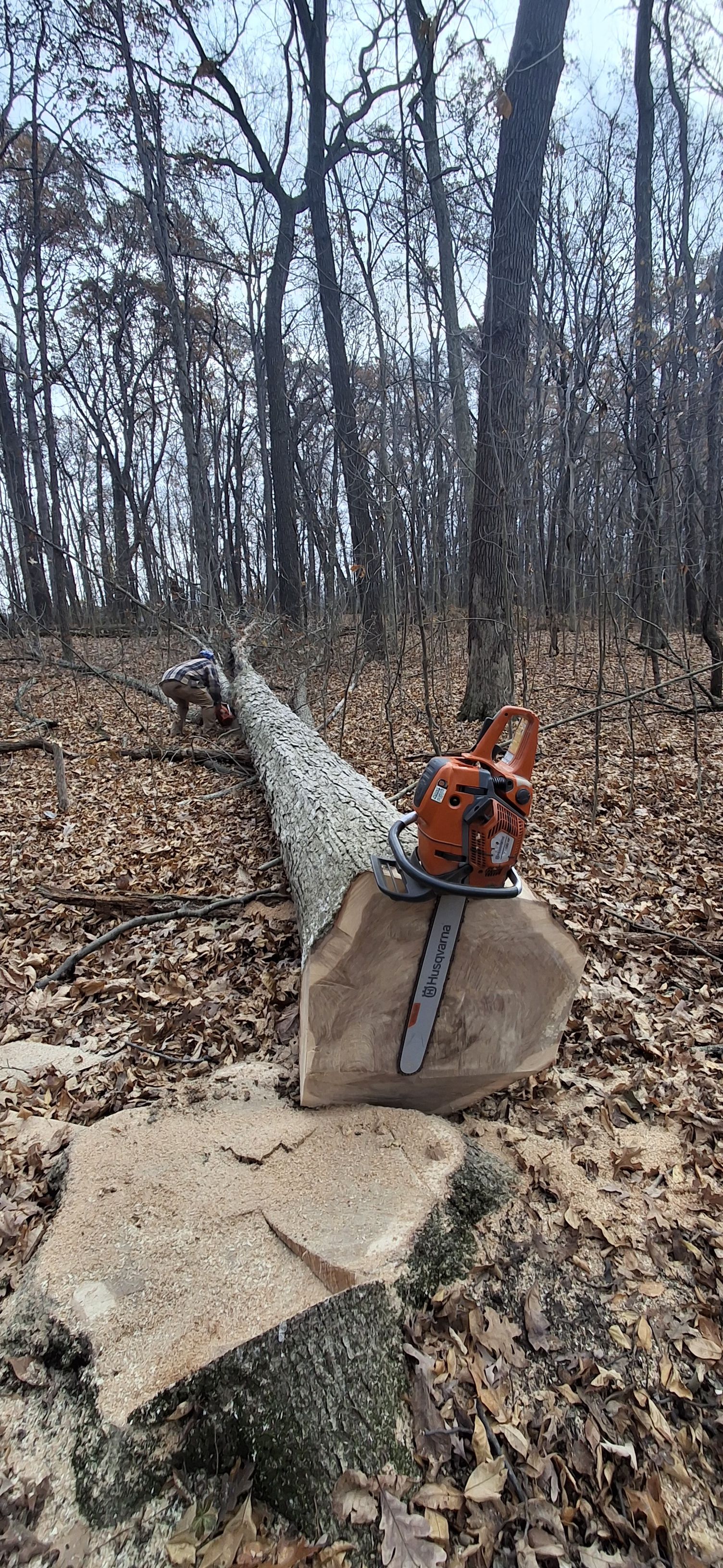  for God's Country Timber Management in Hillsdale, MI