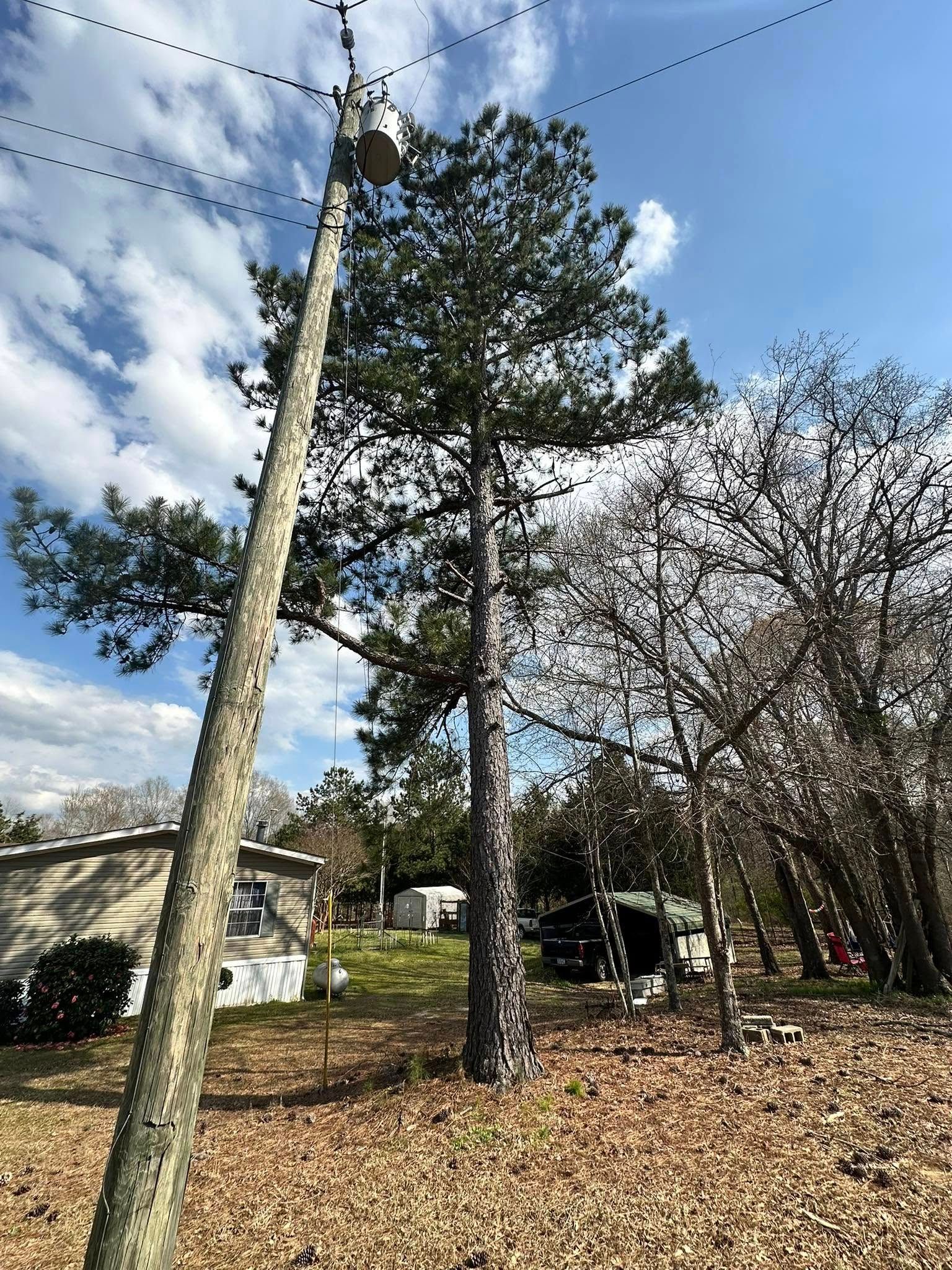 Tree Removal for Page Outdoor Services in Wrightsville, GA