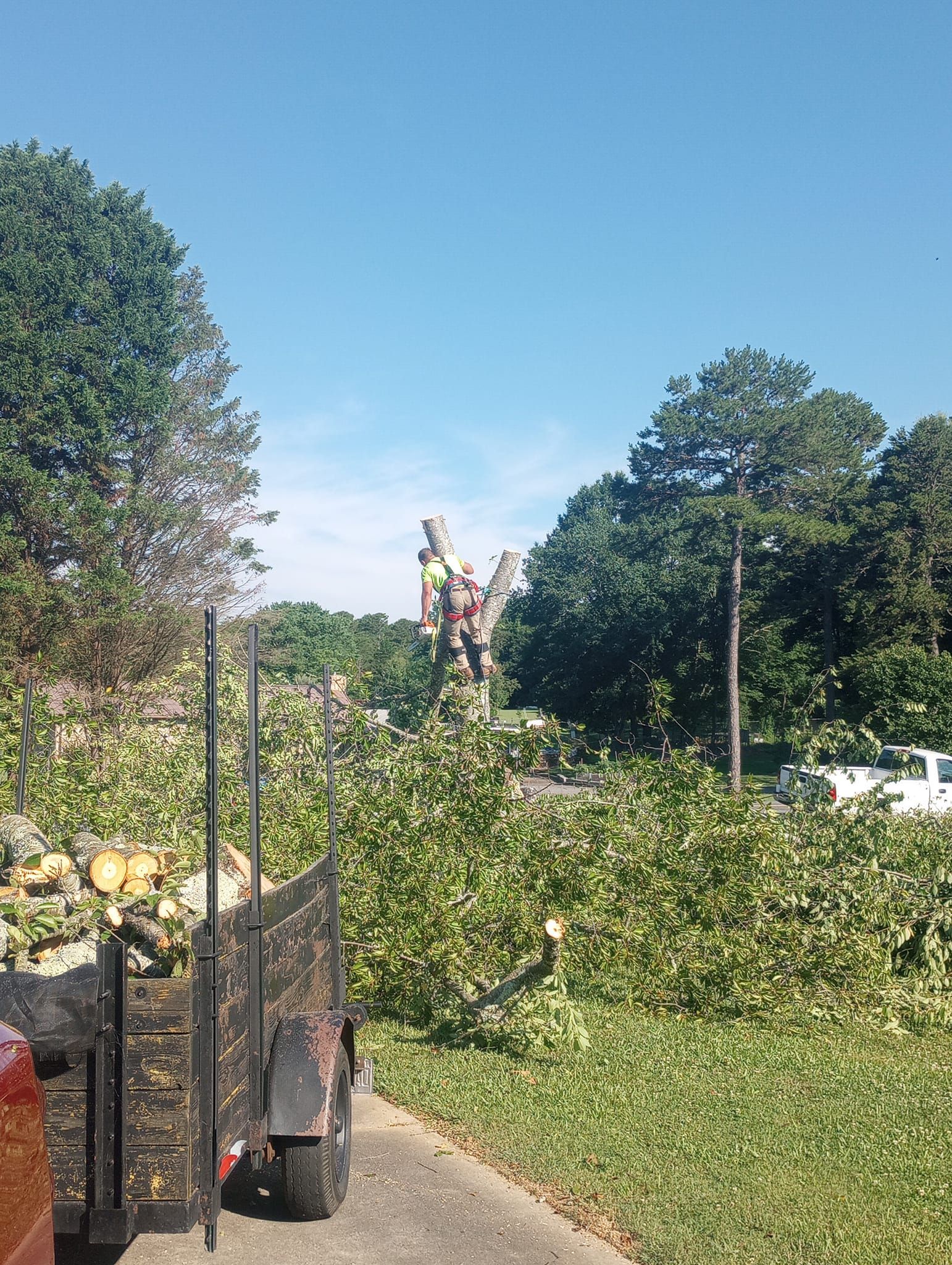  for Backwoods Tree Experts in Hickory, NC