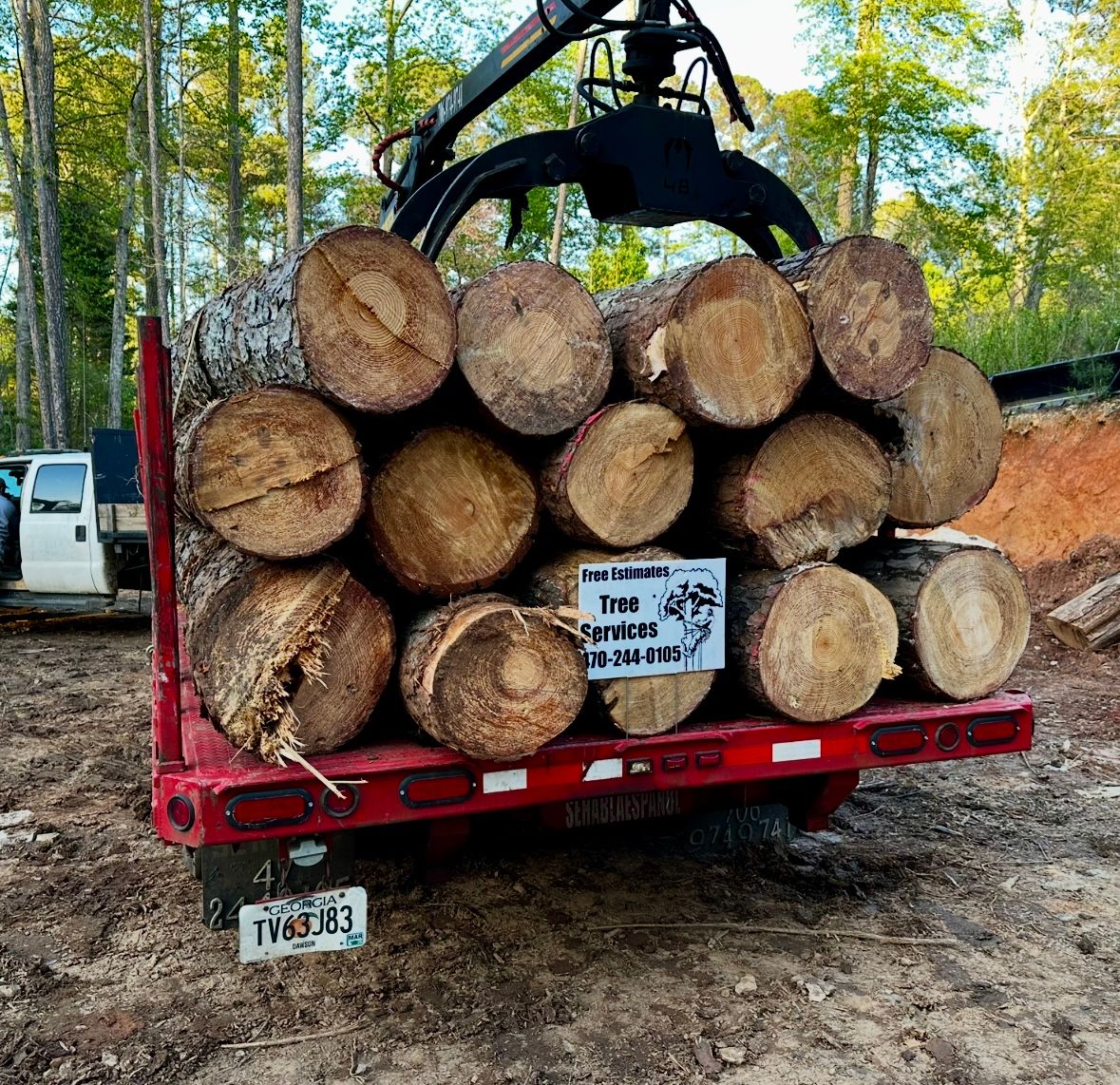  for Clear Tree Land Solutions in Dawson County, GA