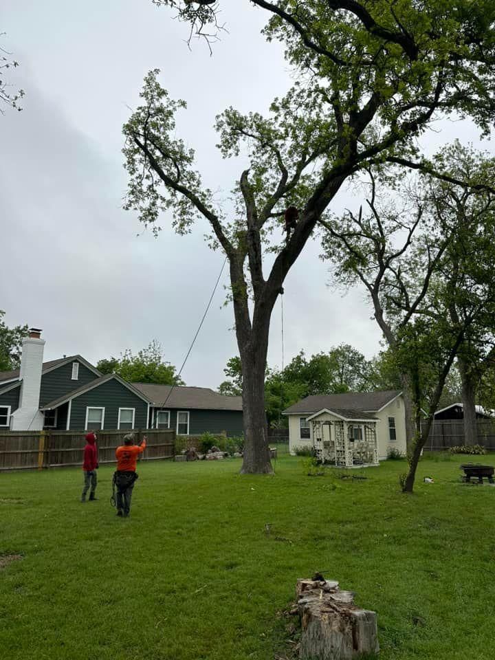 Mowing for Allen Lawn Care in Taylor, Texas