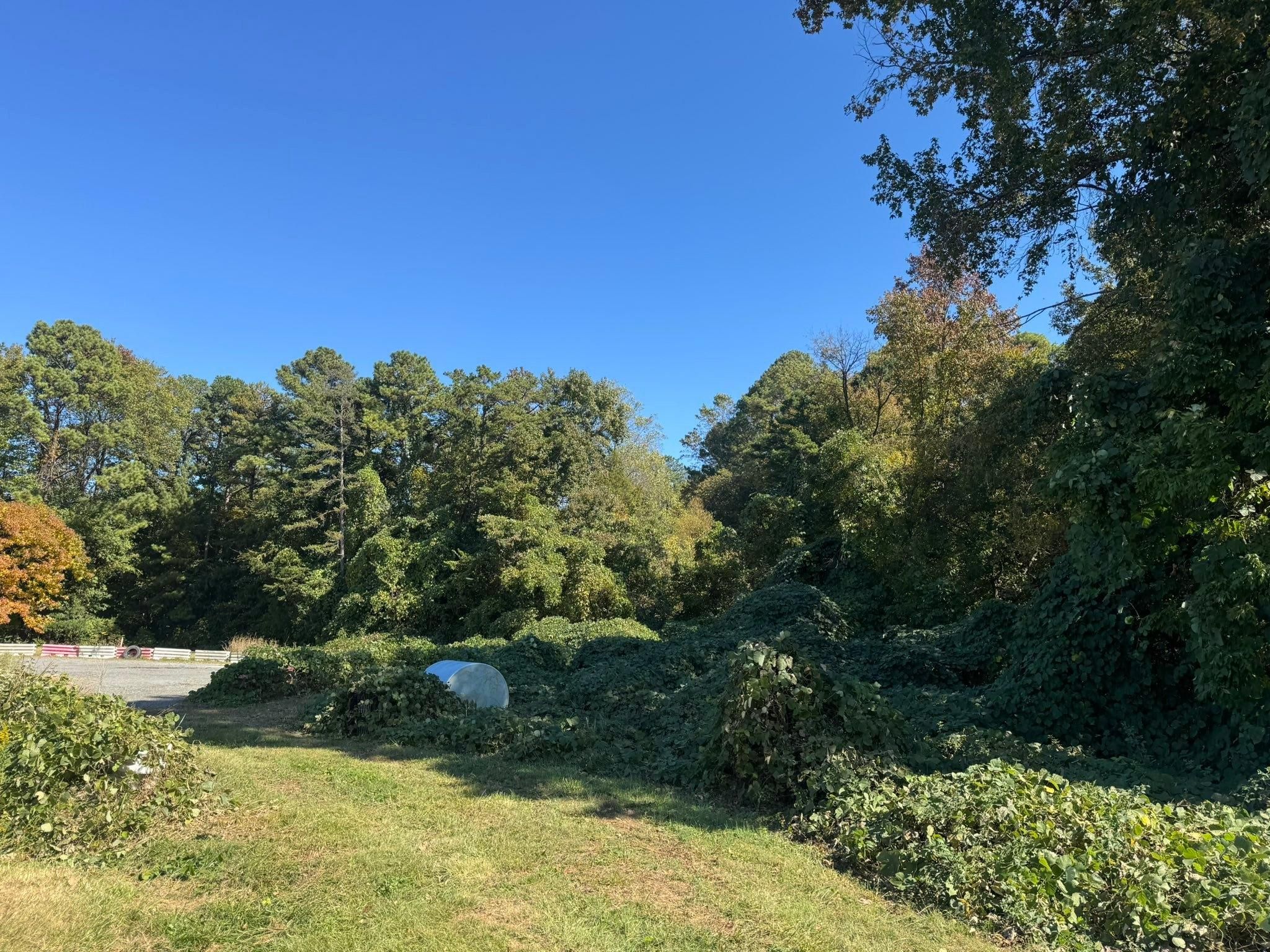  for Southern Turf & Landscape in Concord, NC