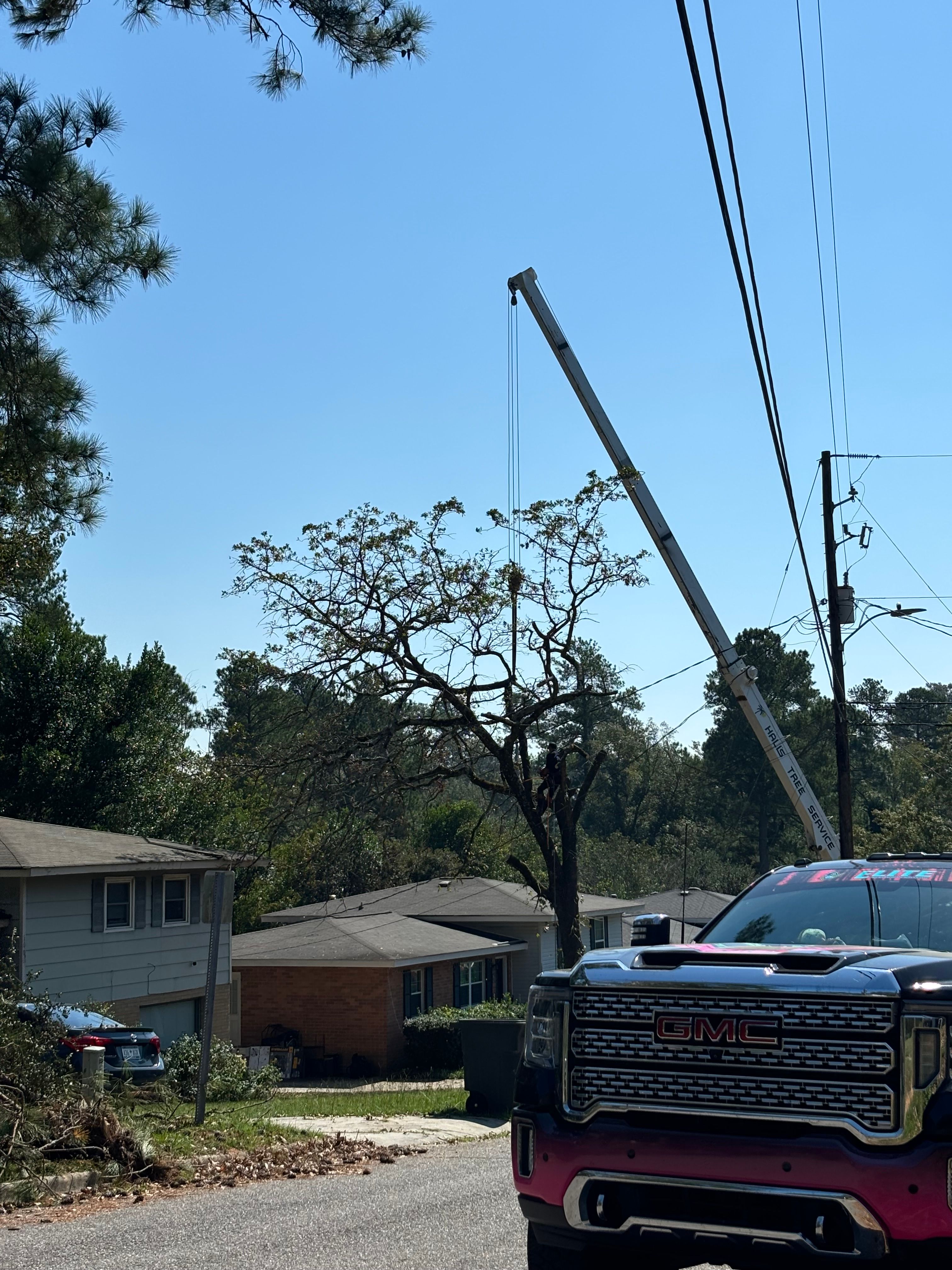  for Elite Tree & Landscape Services LLC in St. Augustine, FL