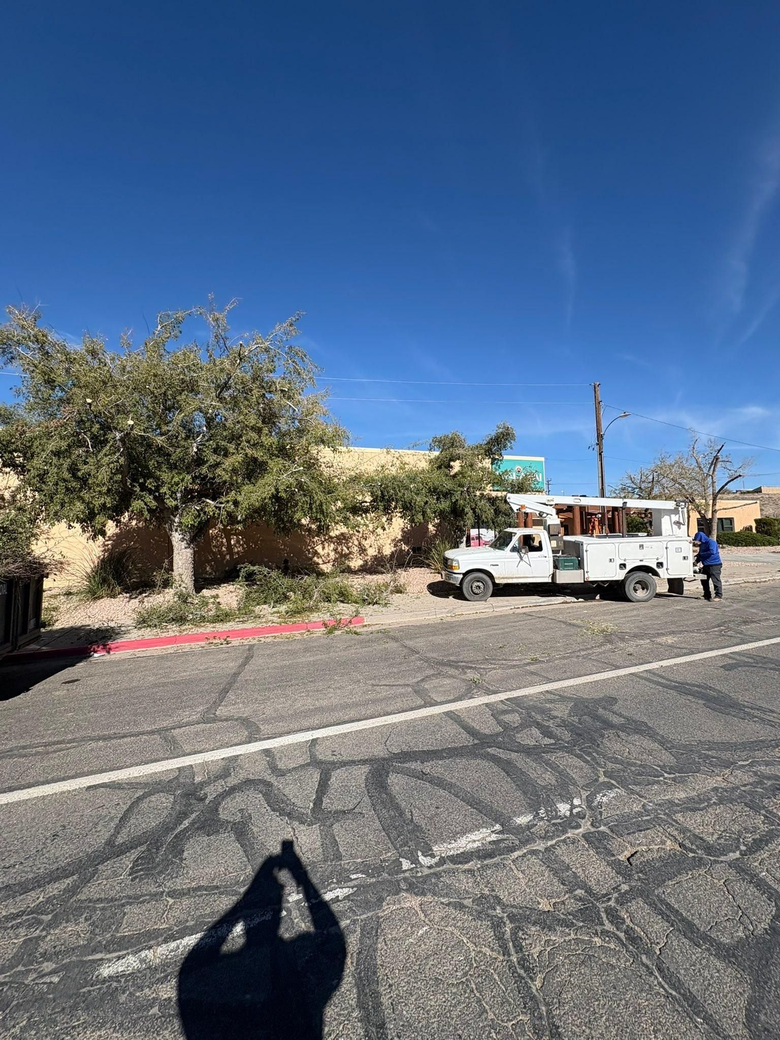  for Top Notch Landscape Services LLC in Mohave Valley, AZ