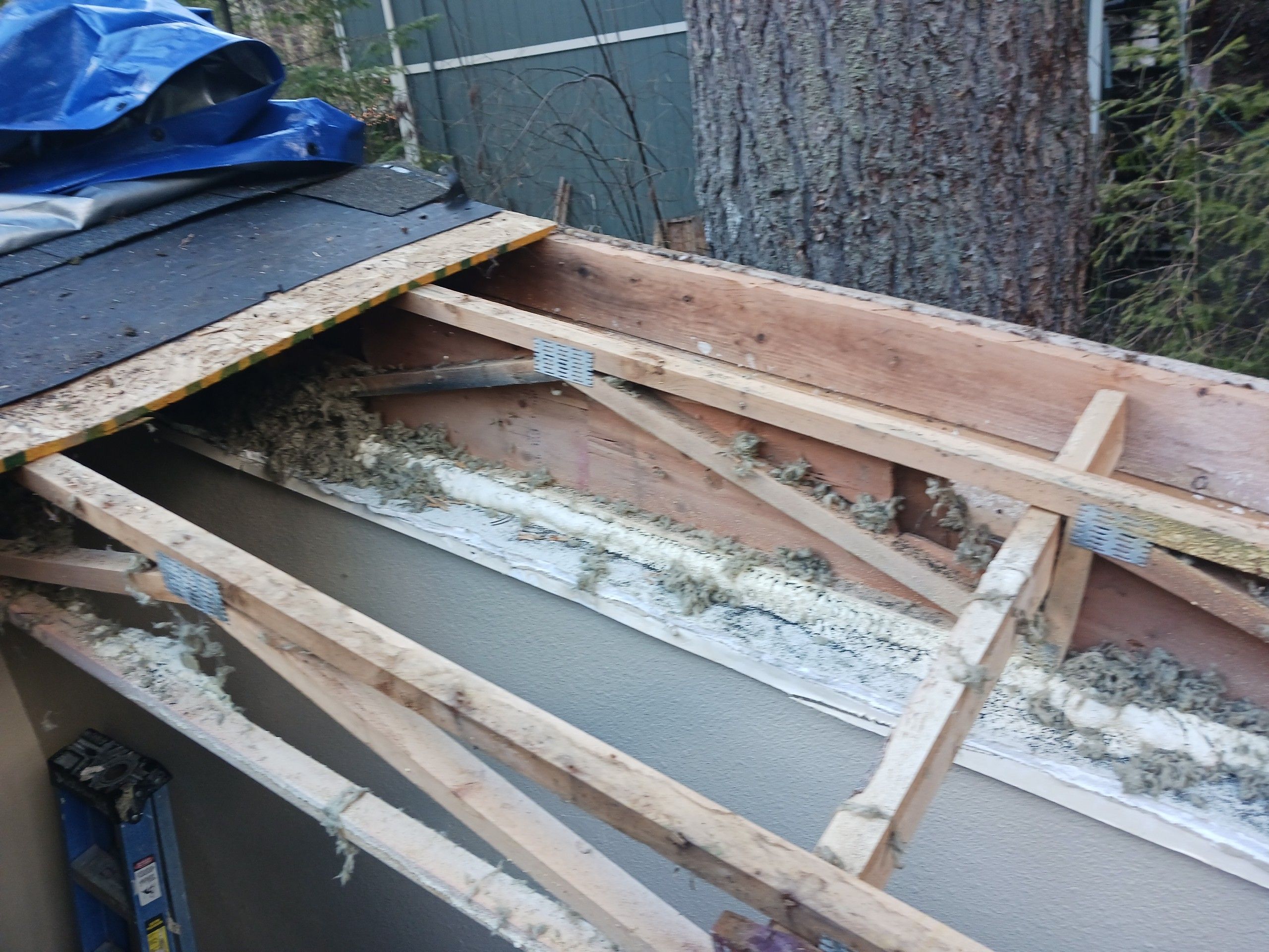  for Home Pros in Maple Falls, WA