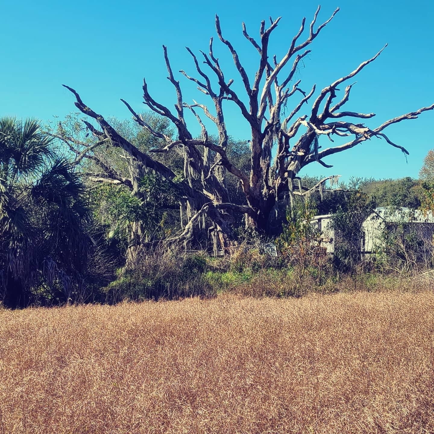  for TopNotch Landscaping Services  in The Villages, FL