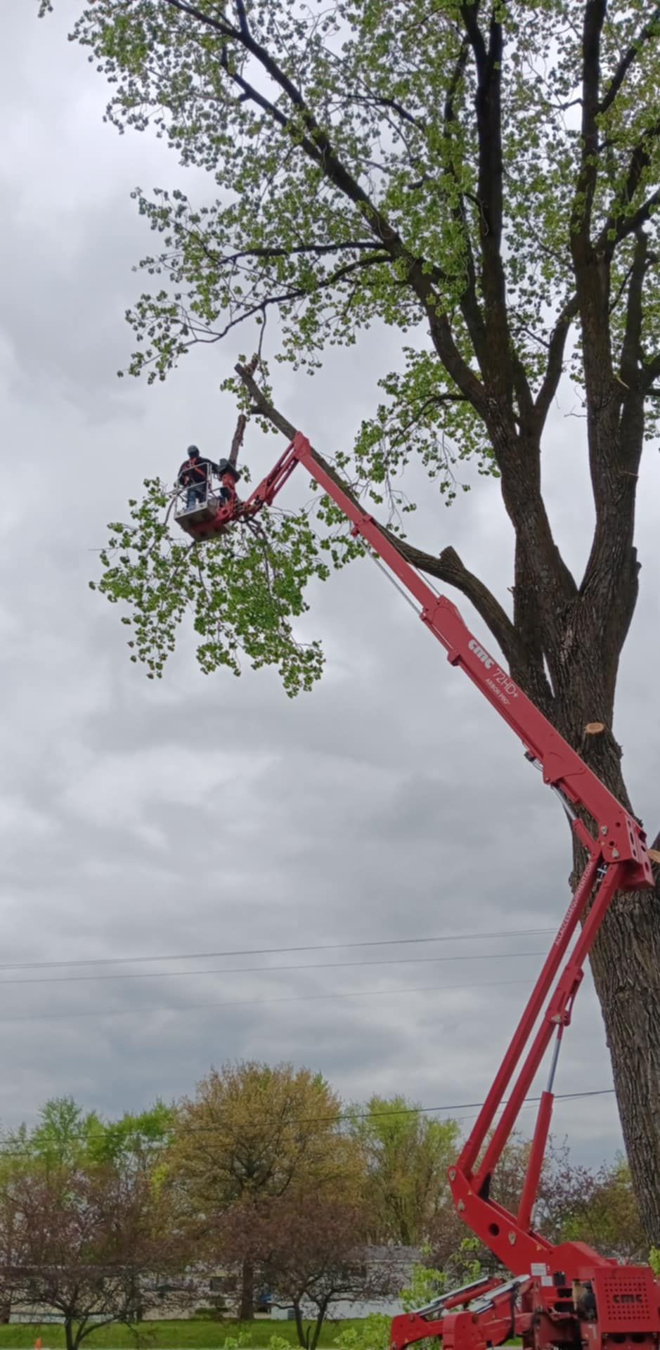  for Lawn Ranger Yard And Tree Service LLC in Ottumwa, IA