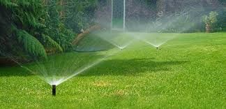 All Photos for Phillips Lawn Services in Ravenna, MI