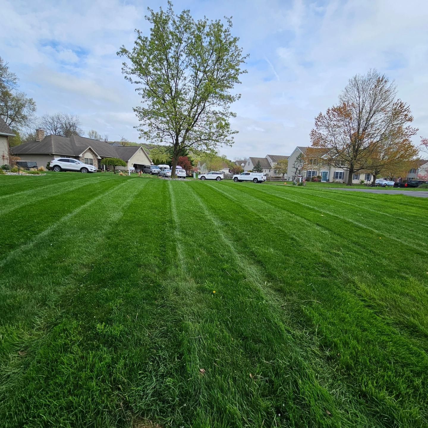  for Trippin A-Lawn in Bethlehem, PA