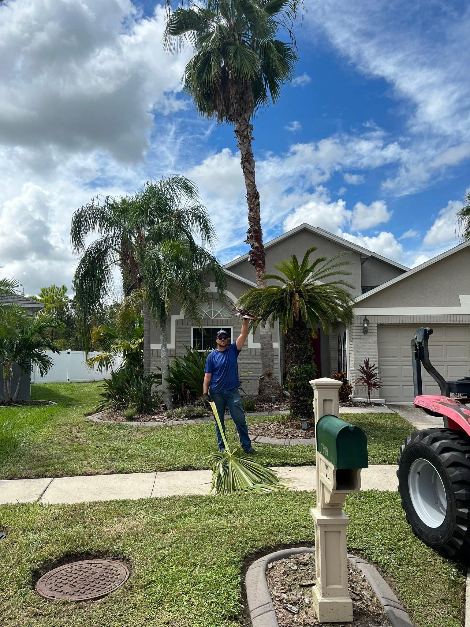  for Bills Tree Service in Valrico, FL