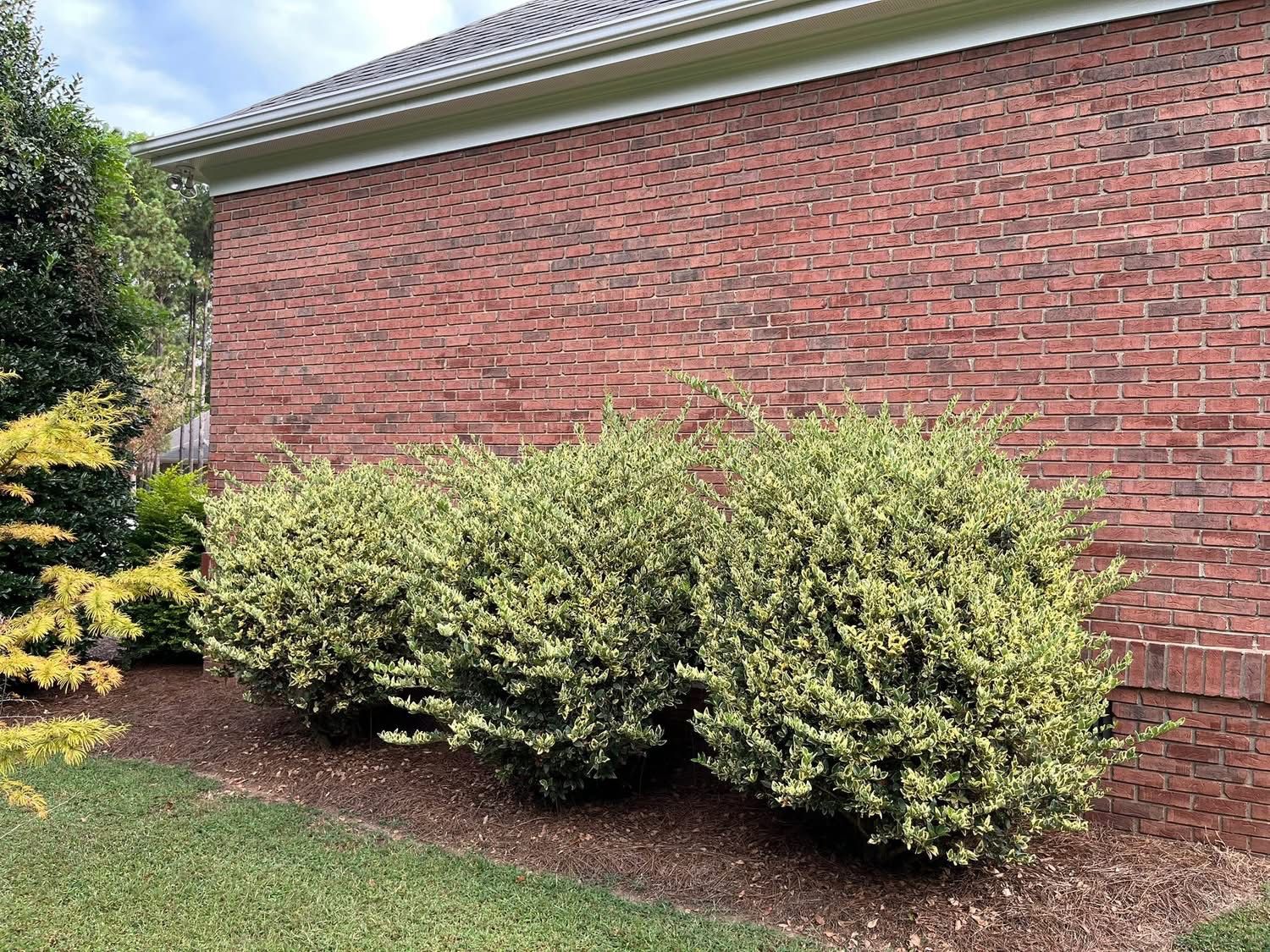  for Green Works Landscaping in Clayton, NC