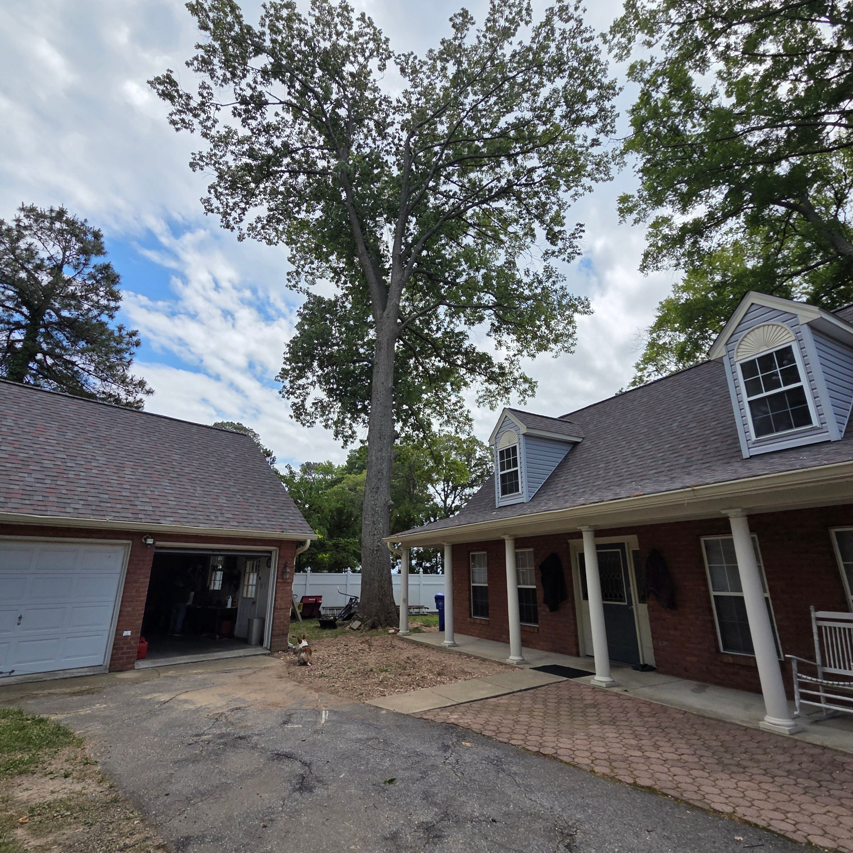  for Darbie's Tree Service in Newburg,  MD