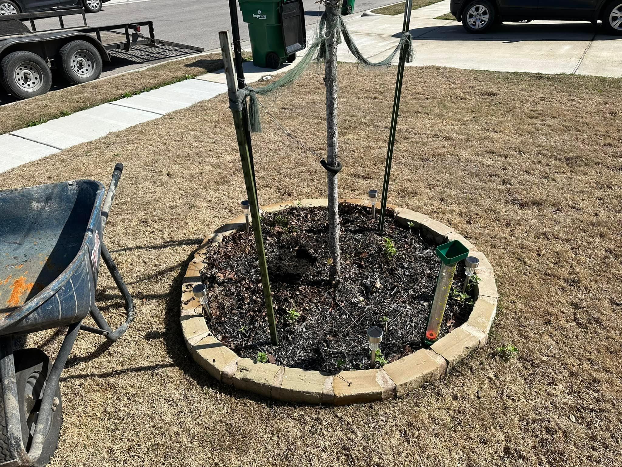 Mowing for Allen Lawn Care in Taylor, Texas