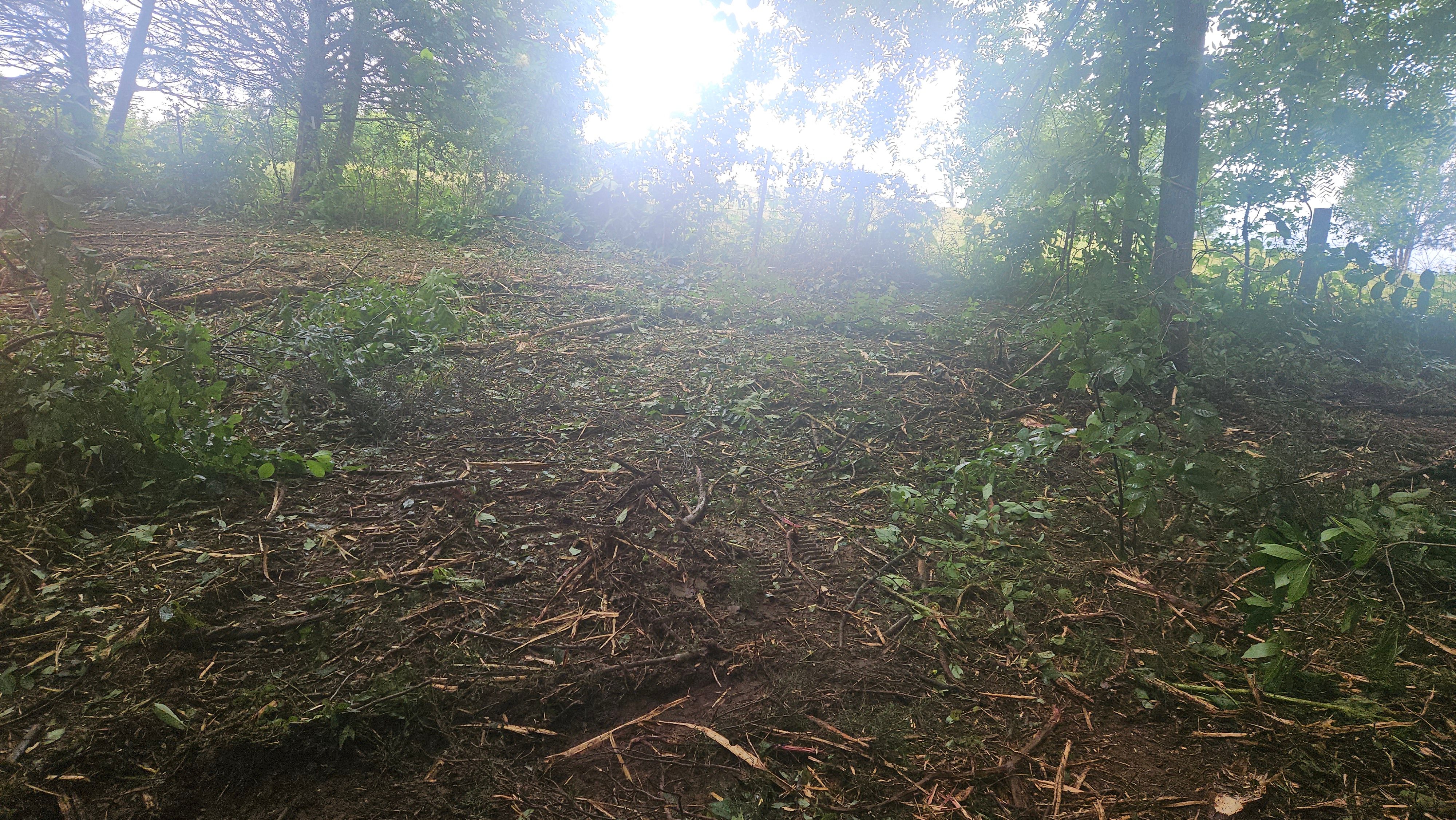 All Photos for B&B Land Management in Jamestown, TN